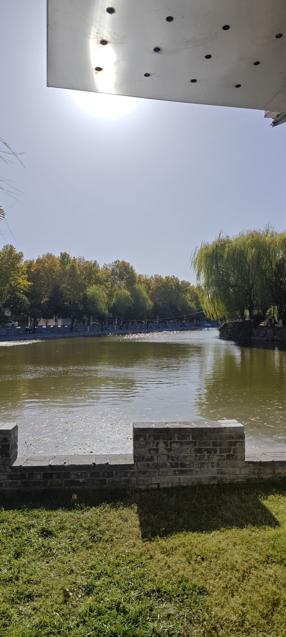明湖旅行图片 2