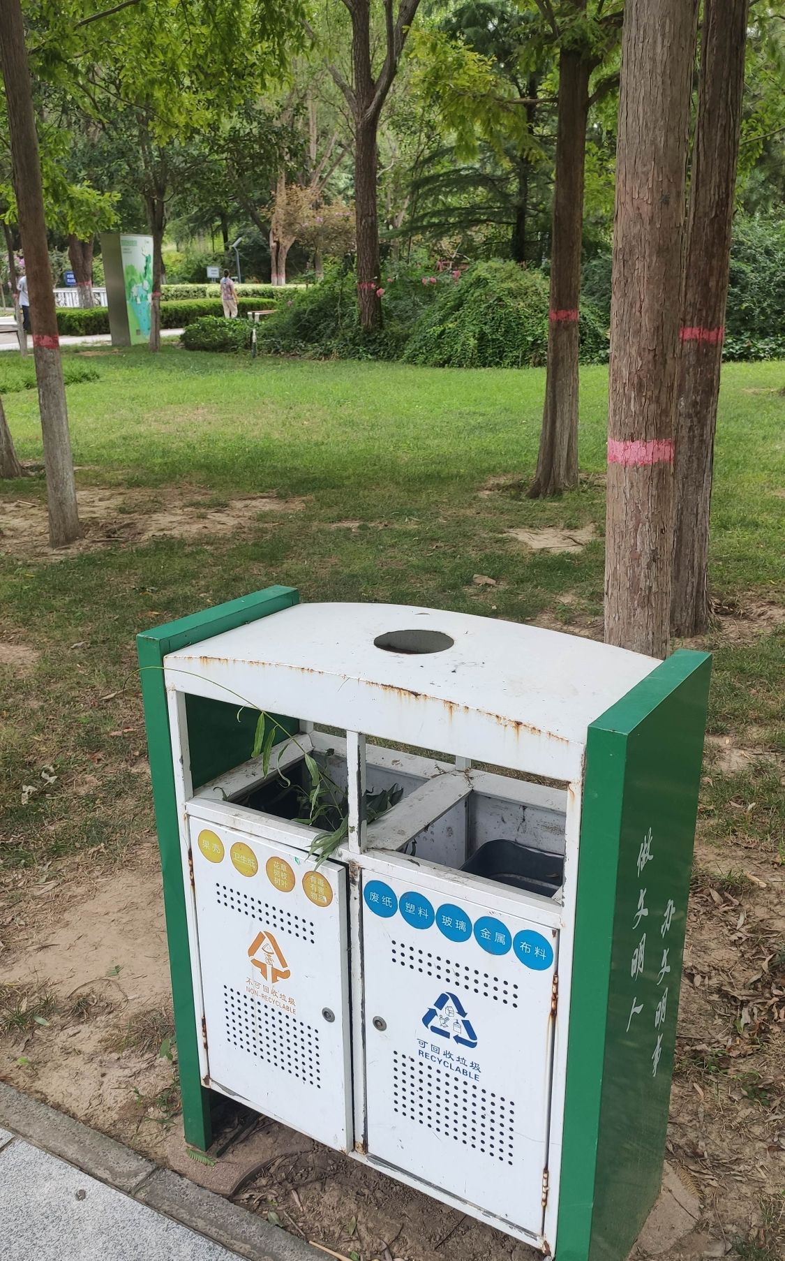 莲花公园旅行图片 2