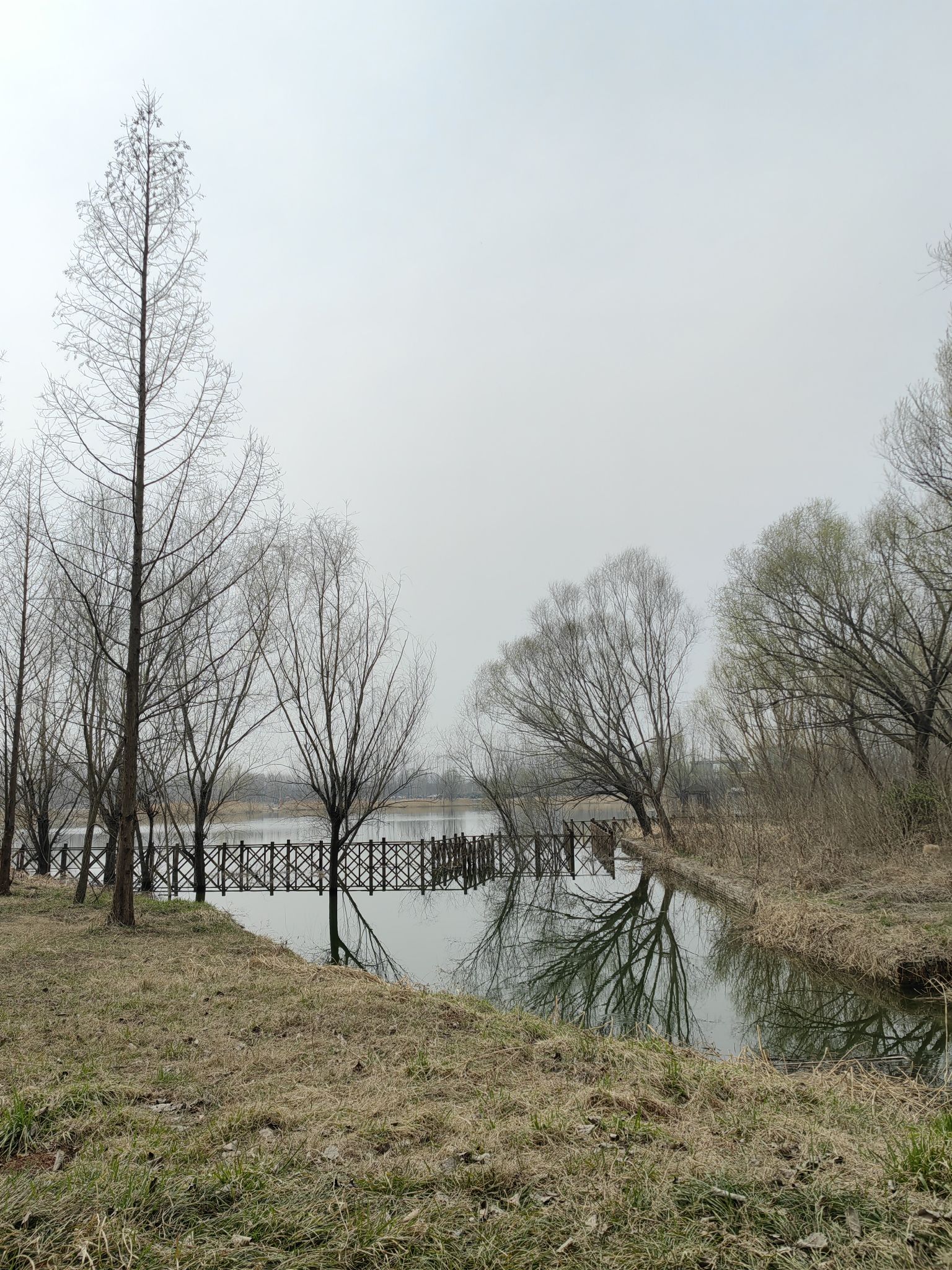 郑州黄河国家湿地公园旅行图片 3
