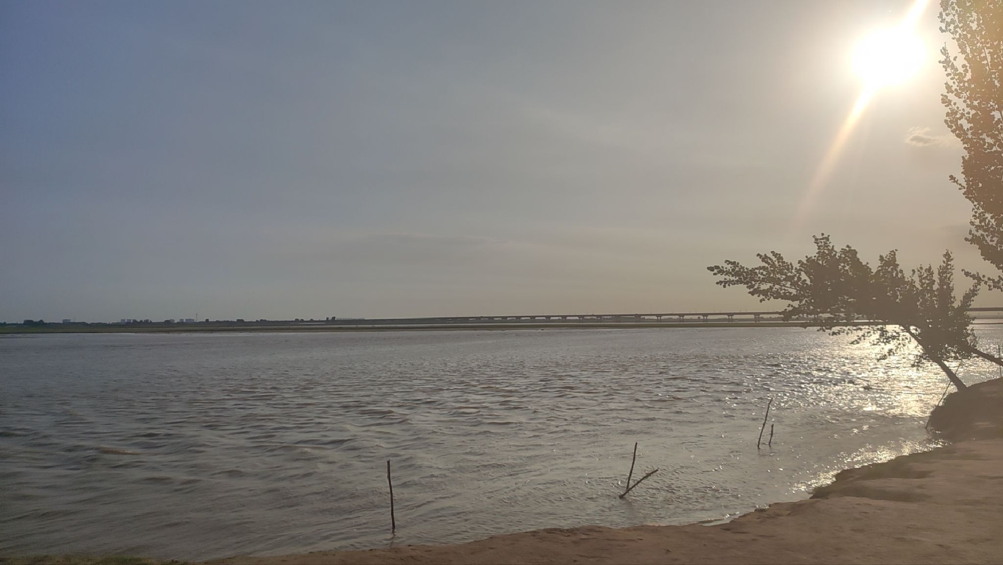 郑州黄河国家湿地公园旅行图片 3