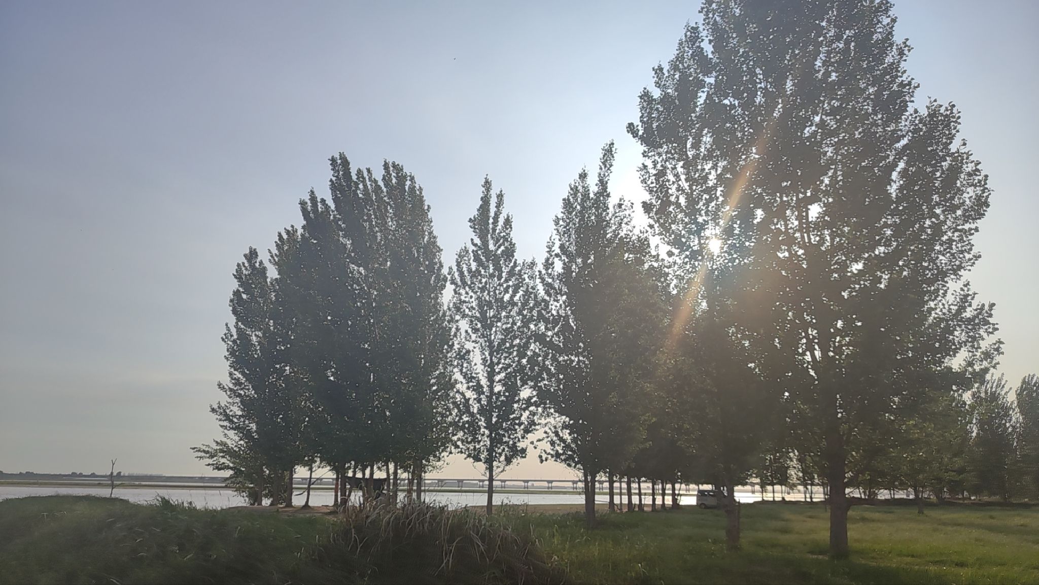 郑州黄河国家湿地公园旅行图片 2