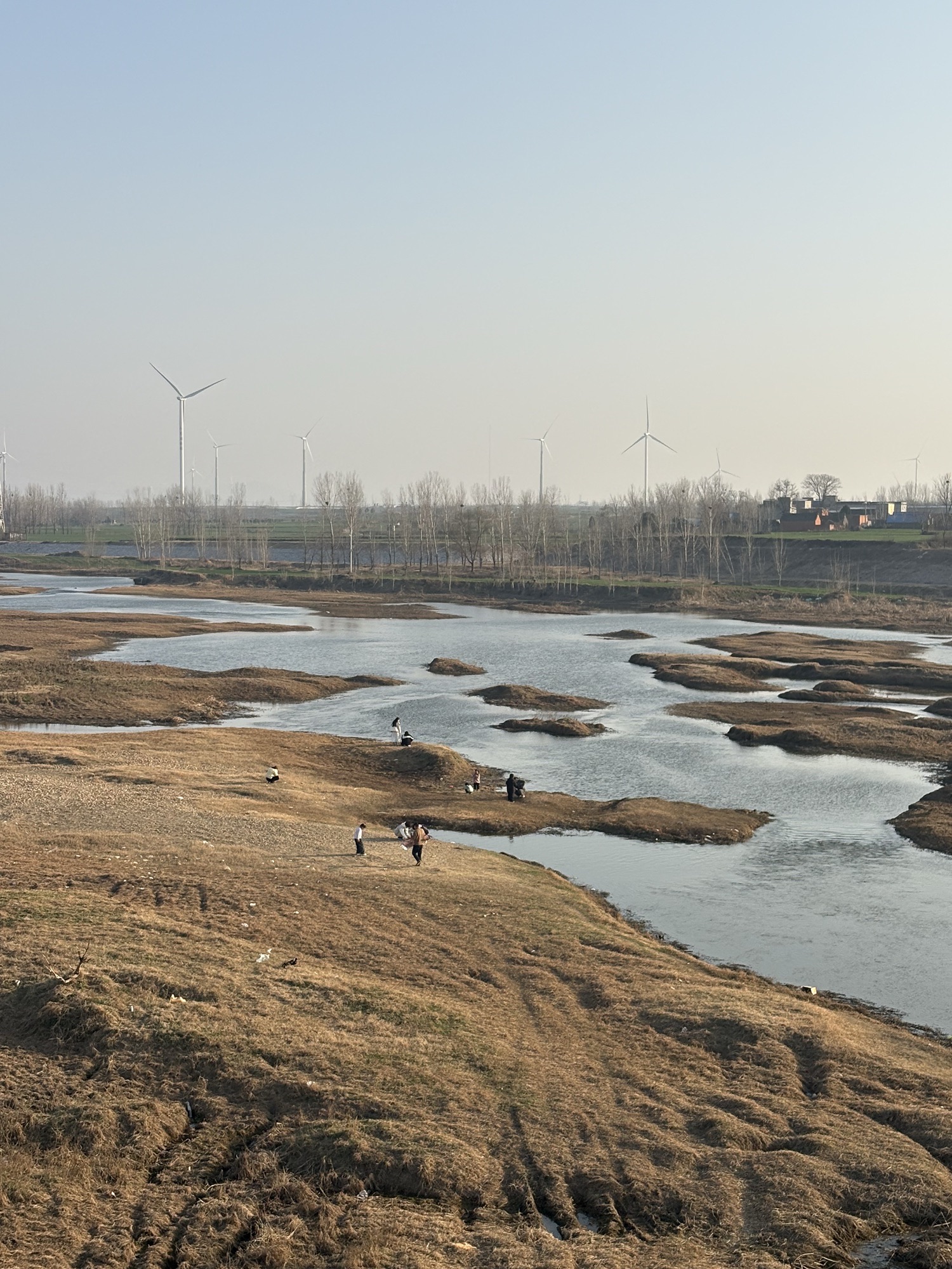 郑州黄河国家湿地公园旅行图片 2