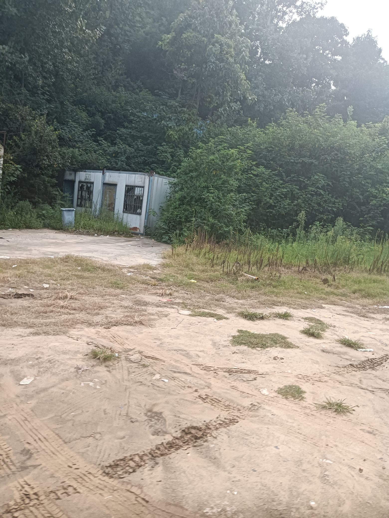 龙泉湿地公园旅行图片 3