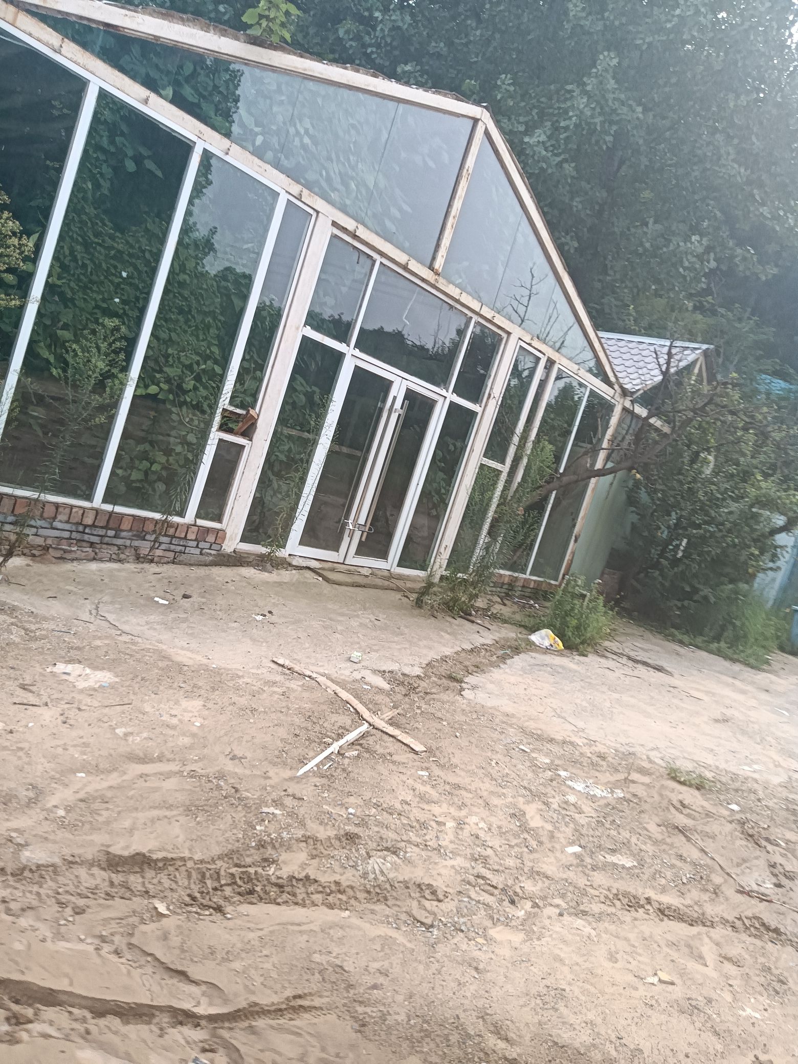 龙泉湿地公园旅行图片 2