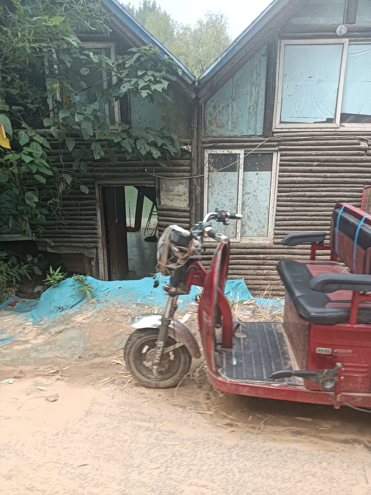 龙泉湿地公园旅行图片 1