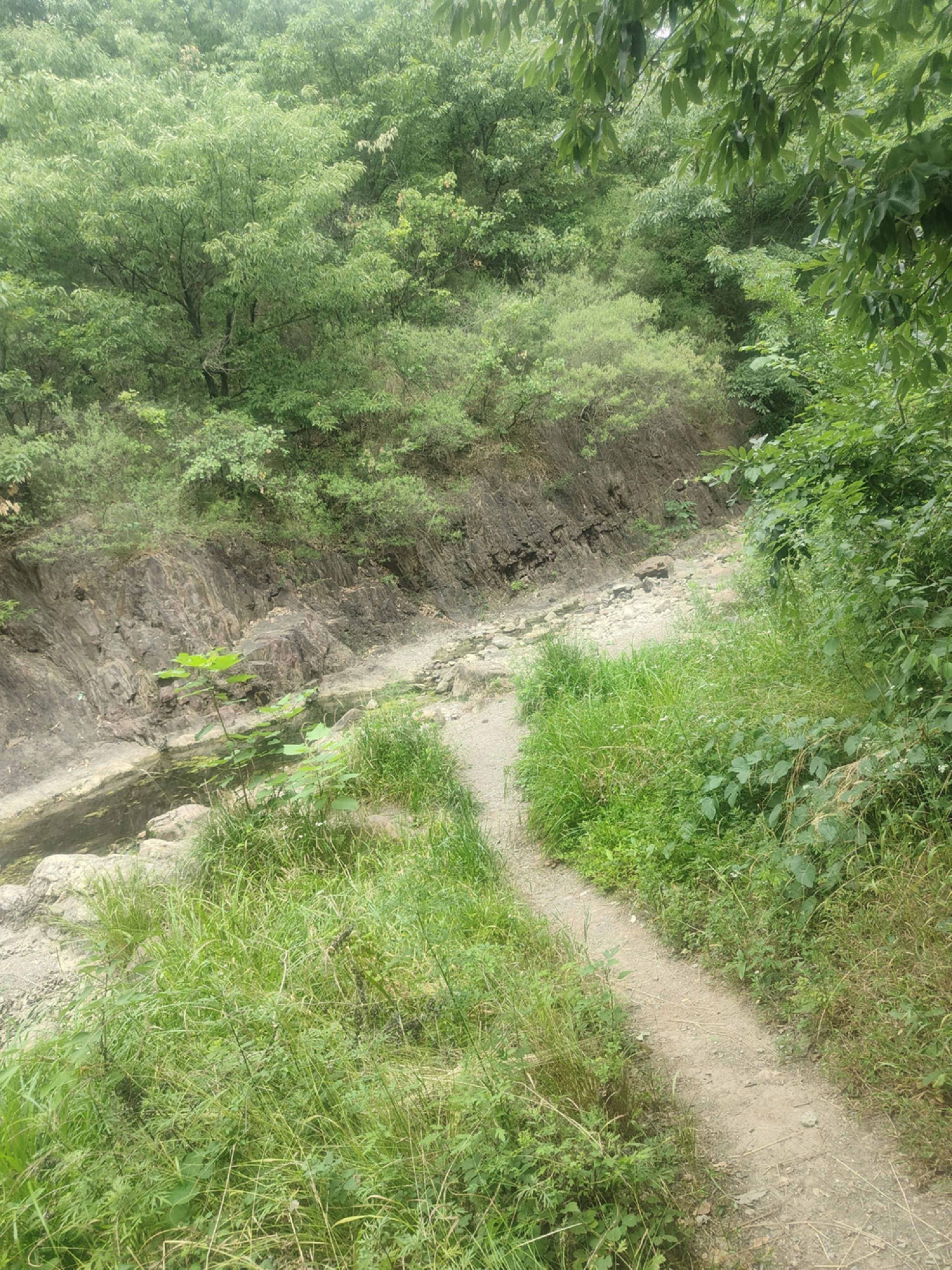 紫龙峡旅行图片 3