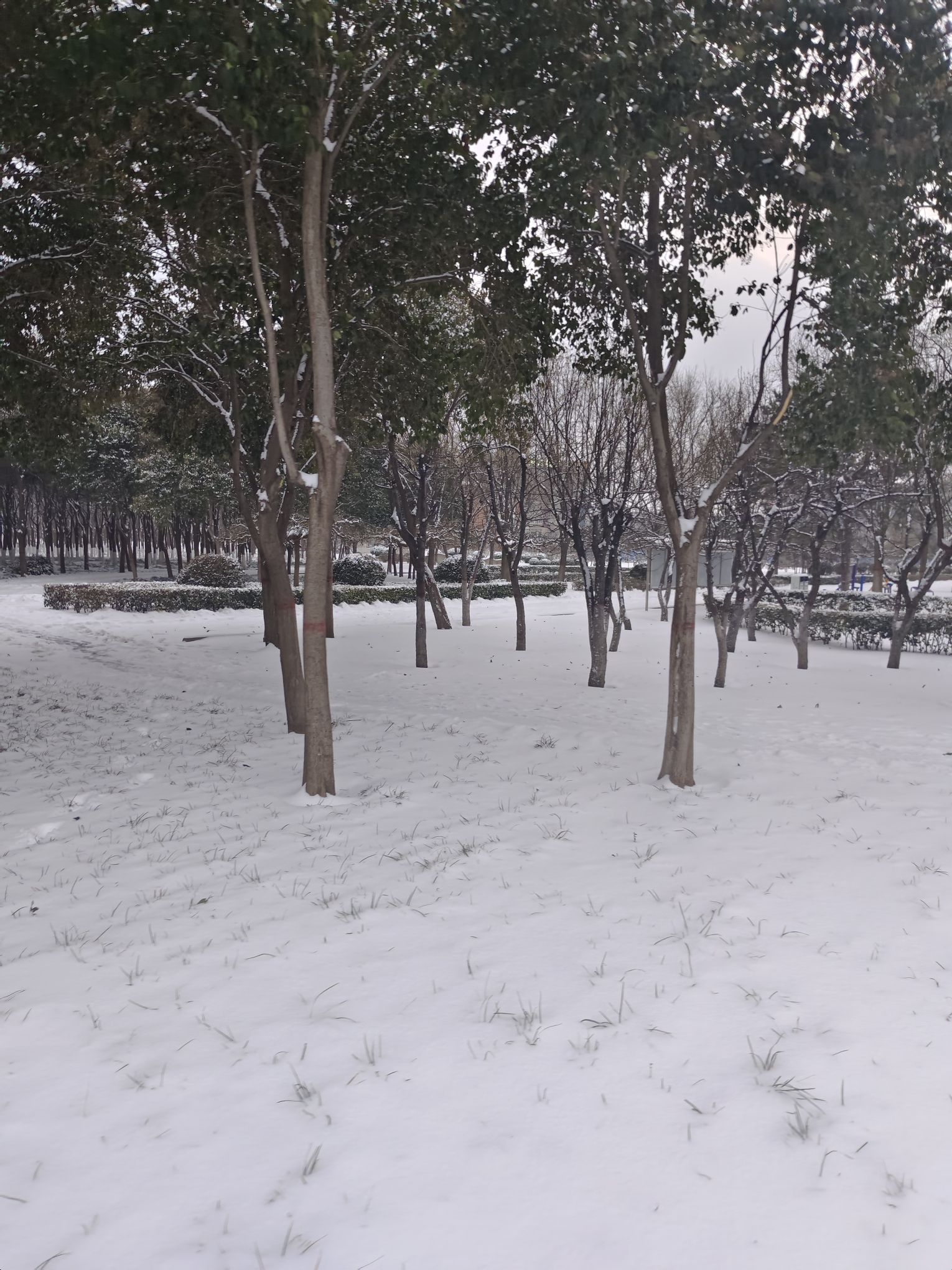 科学公园旅行图片 2