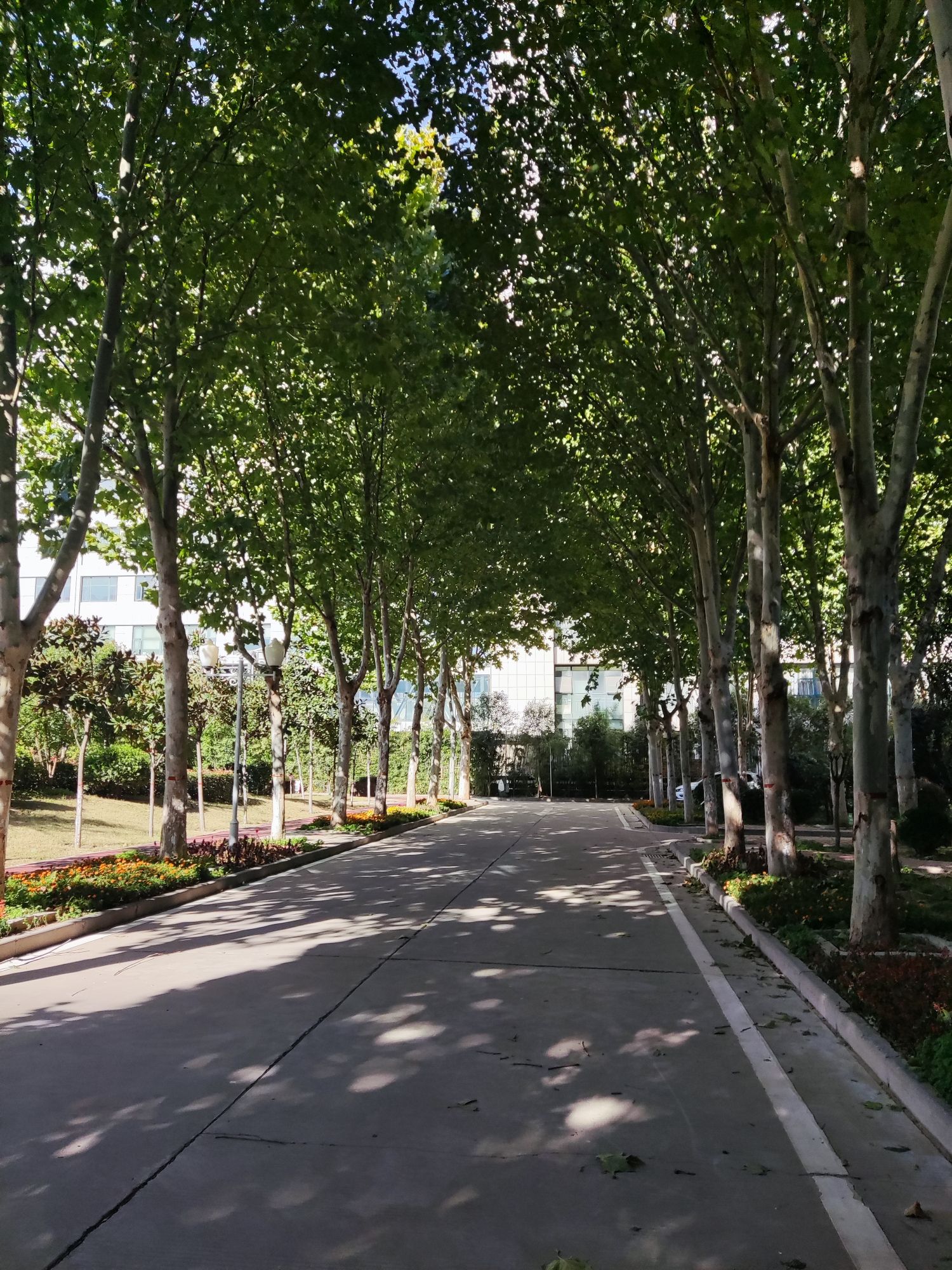 科学公园旅行图片 3