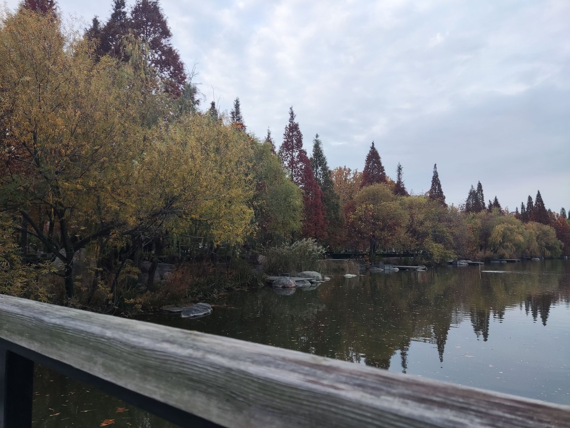 科学公园旅行图片 1