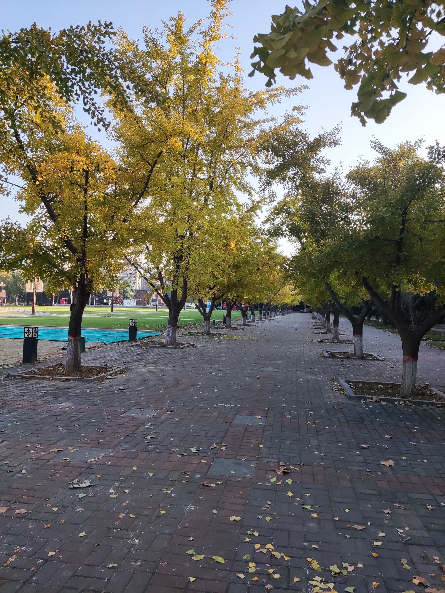 科学公园旅行图片 2