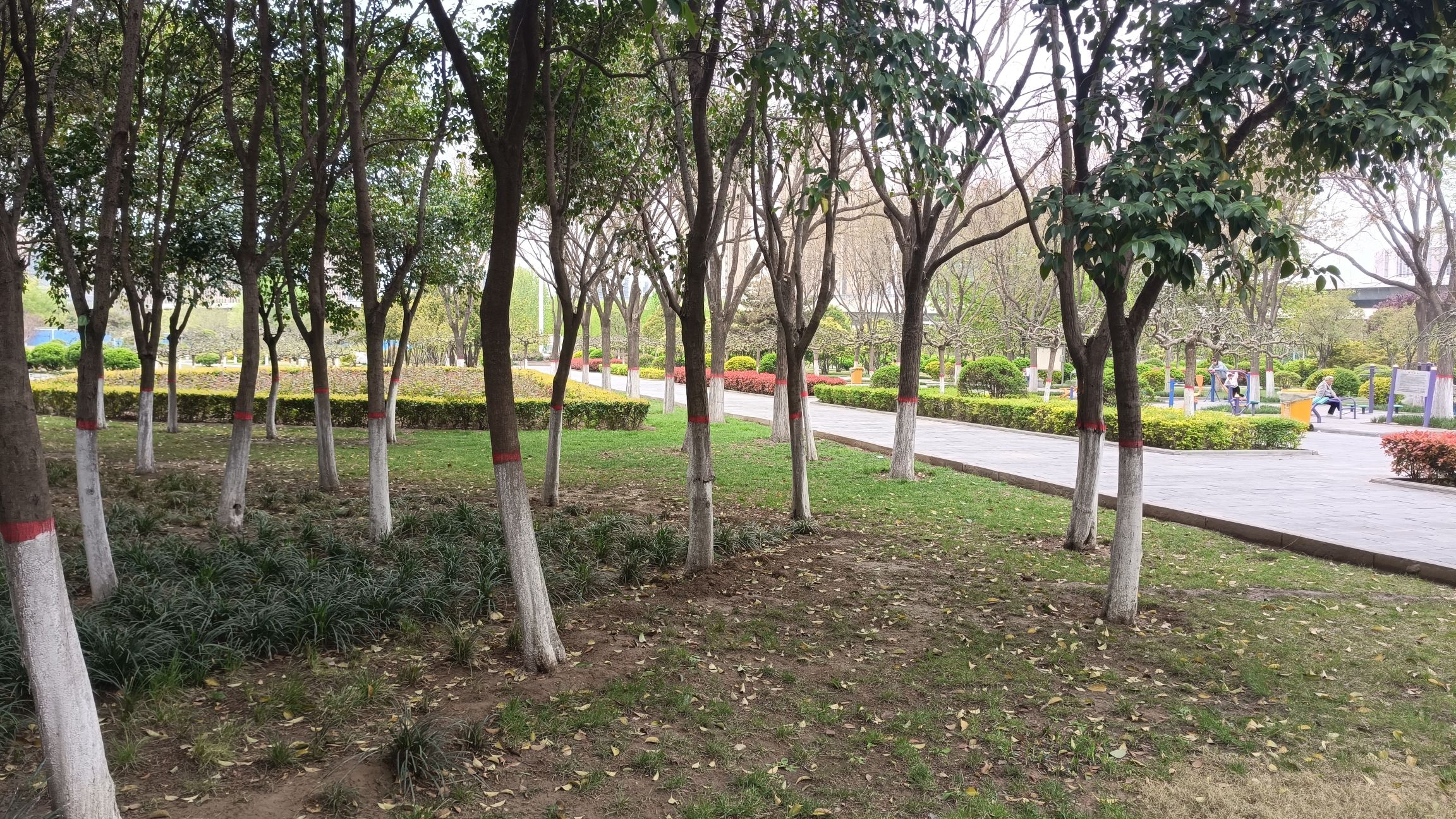 科学公园旅行图片 2