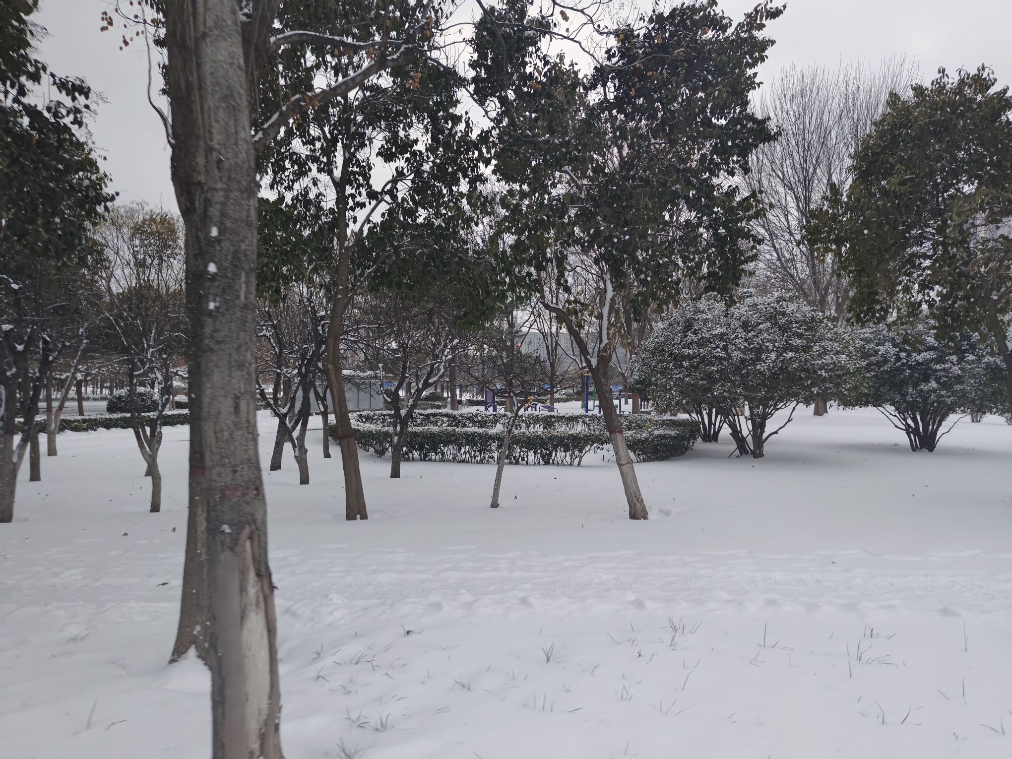 科学公园旅行图片 1