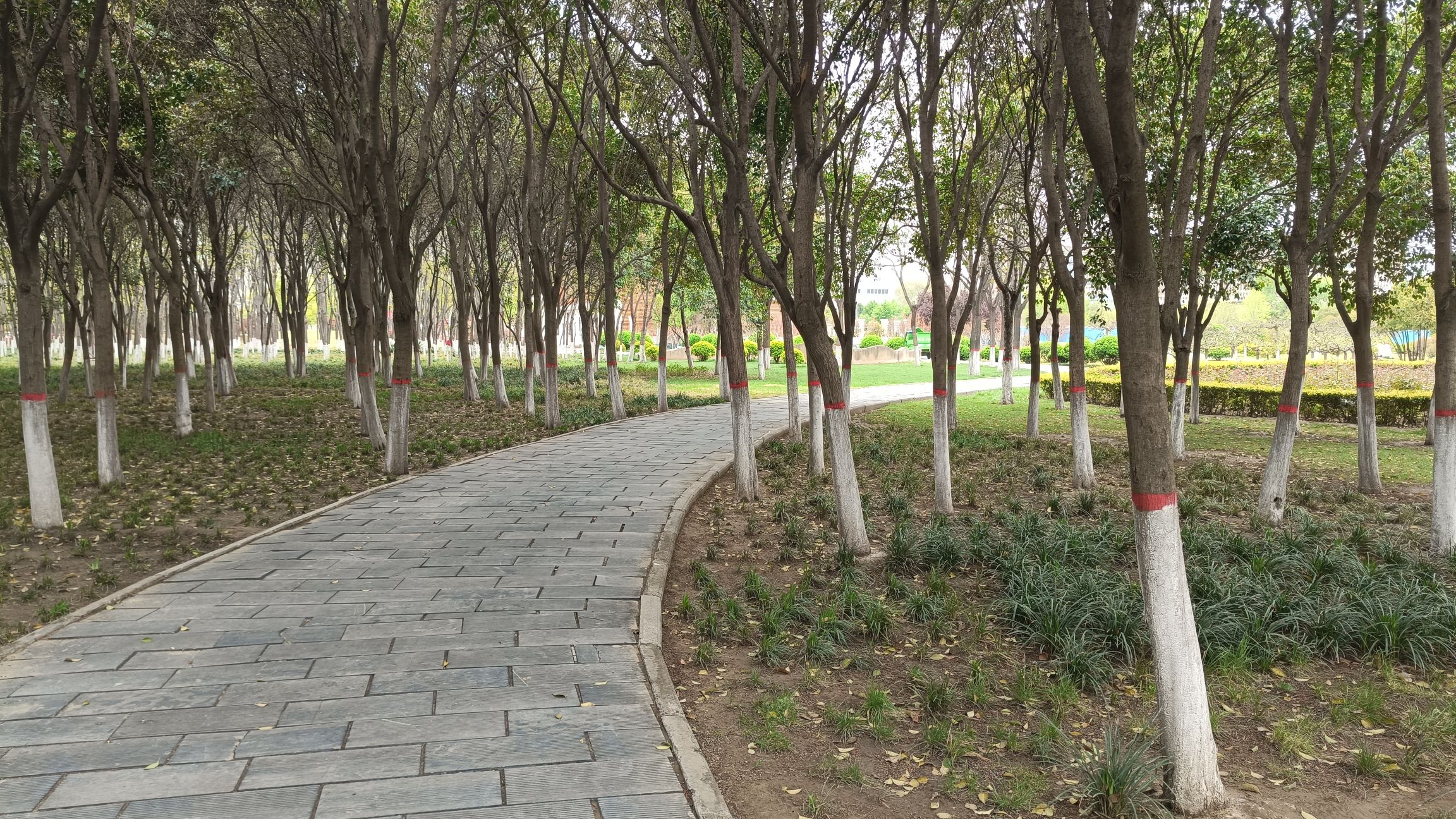 科学公园旅行图片 3