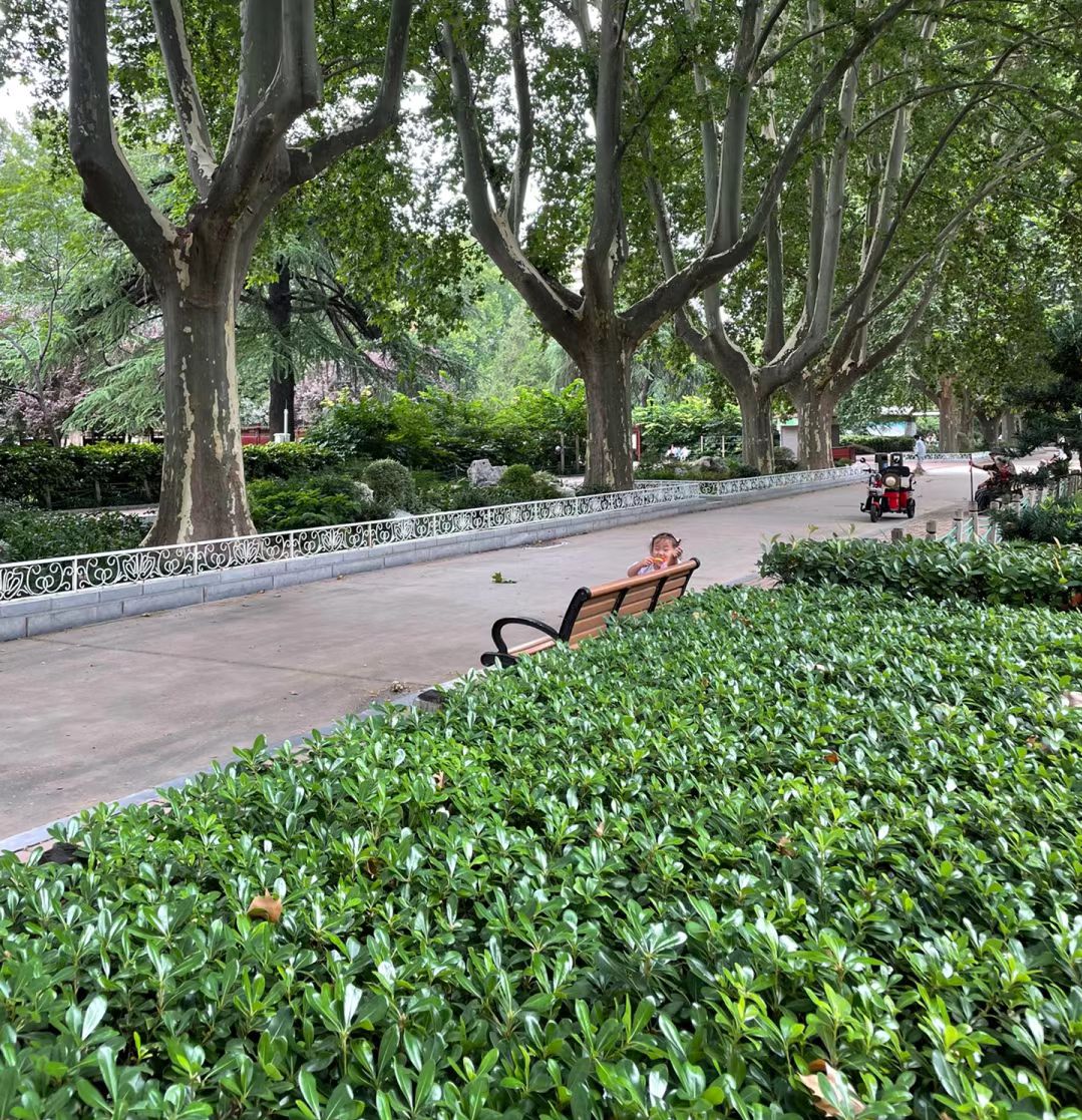 政一街游园旅行图片