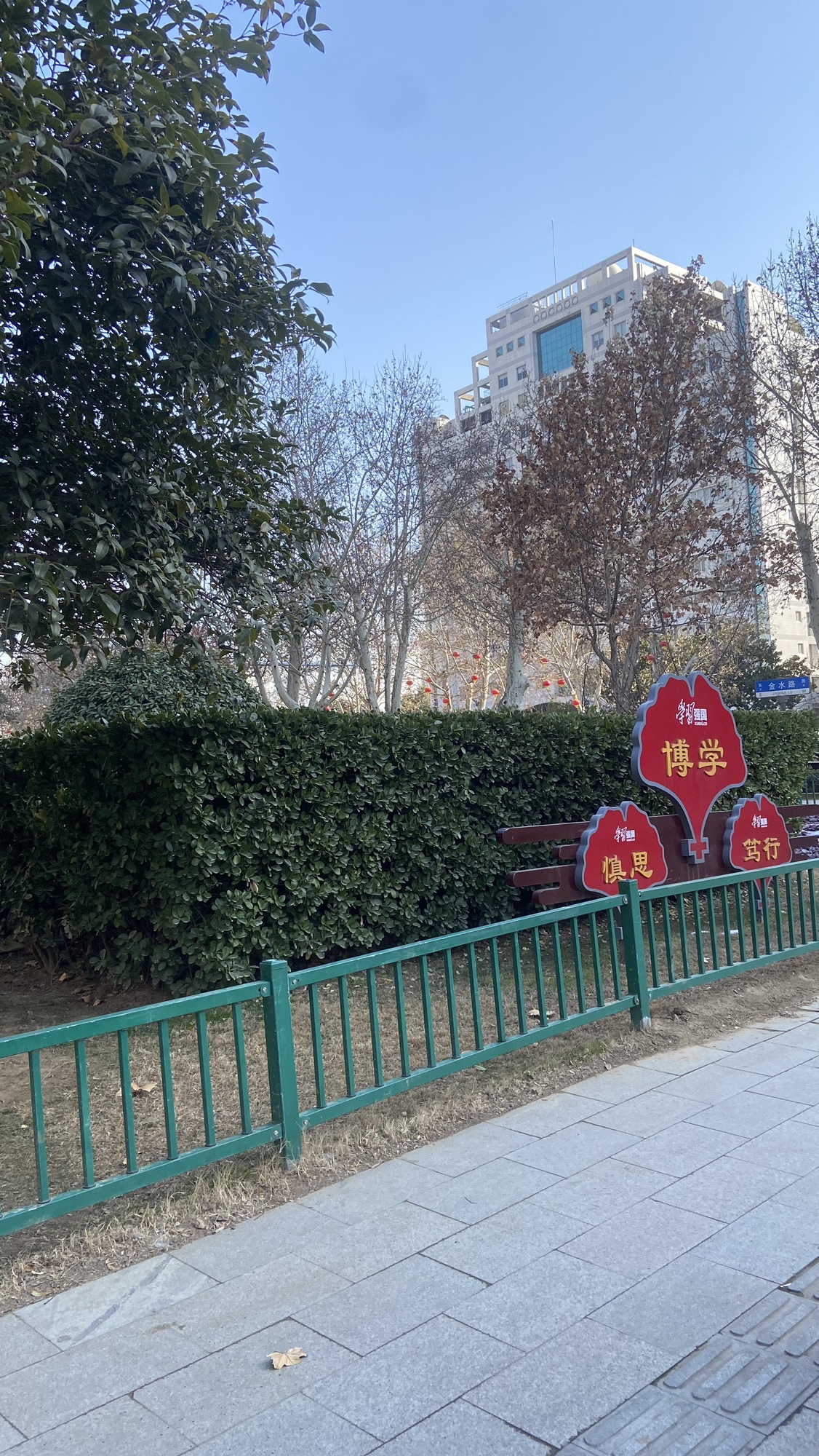 政一街游园旅行图片 2