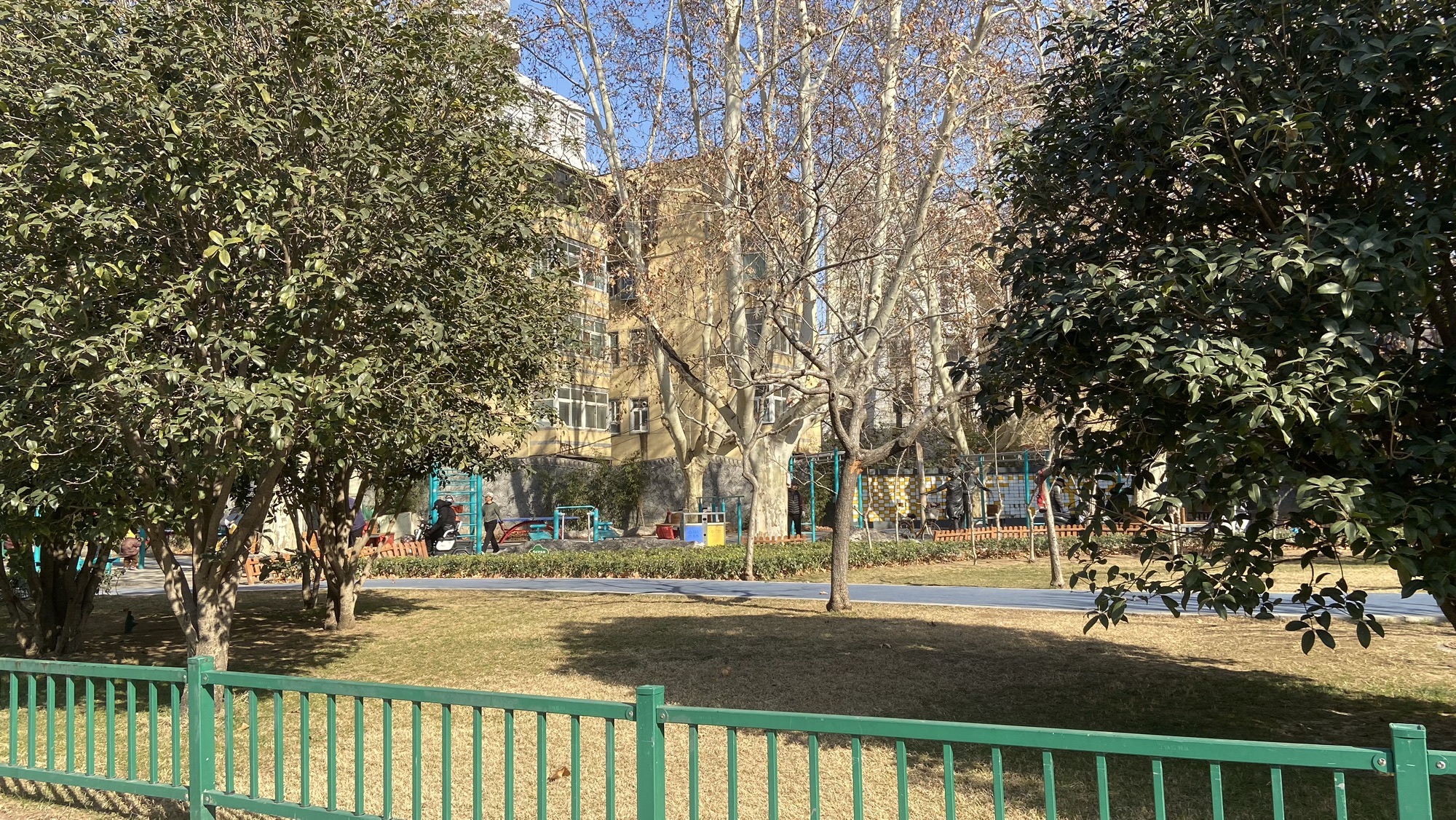 政一街游园旅行图片