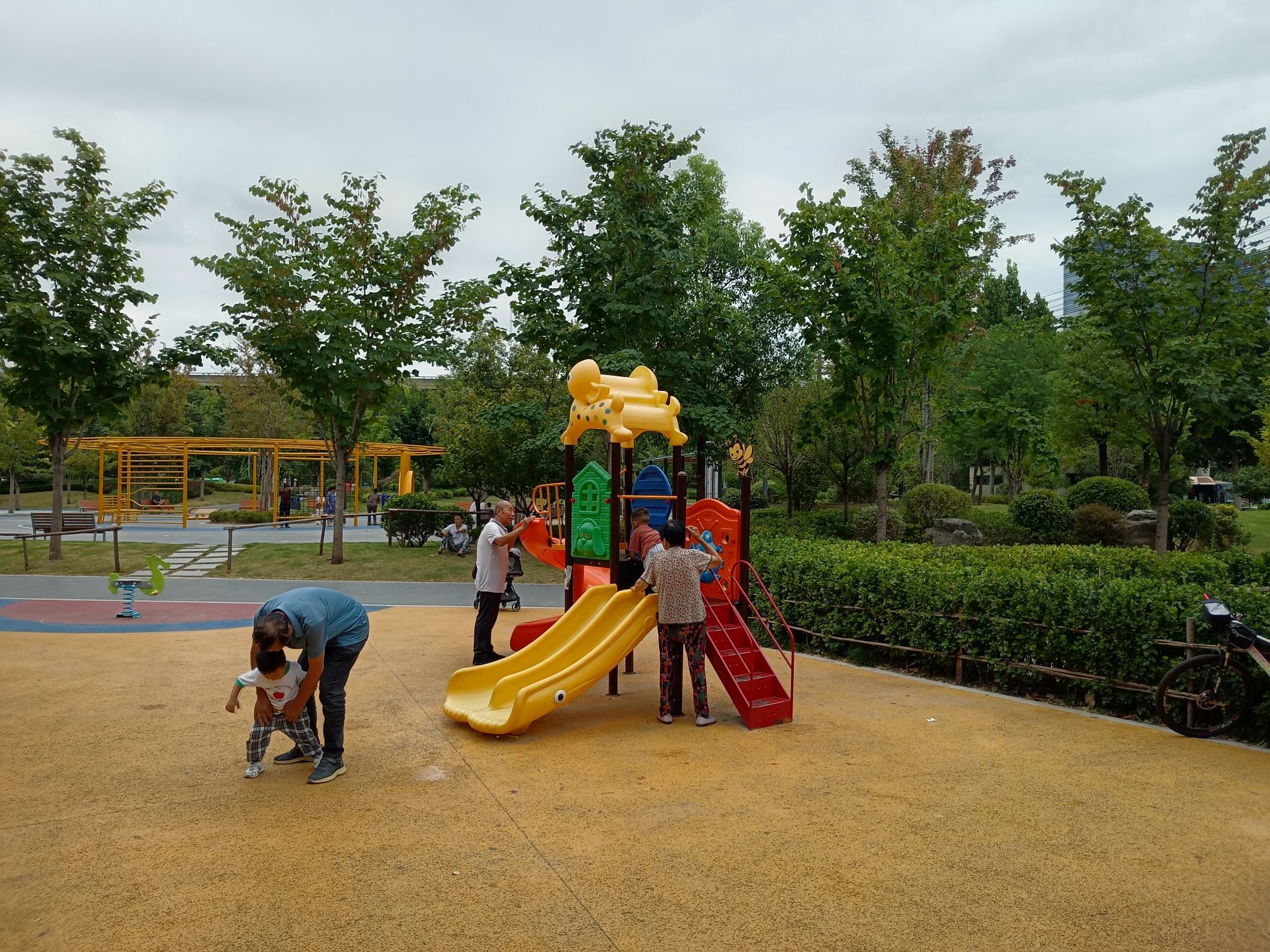 大学南路游园旅行图片 2