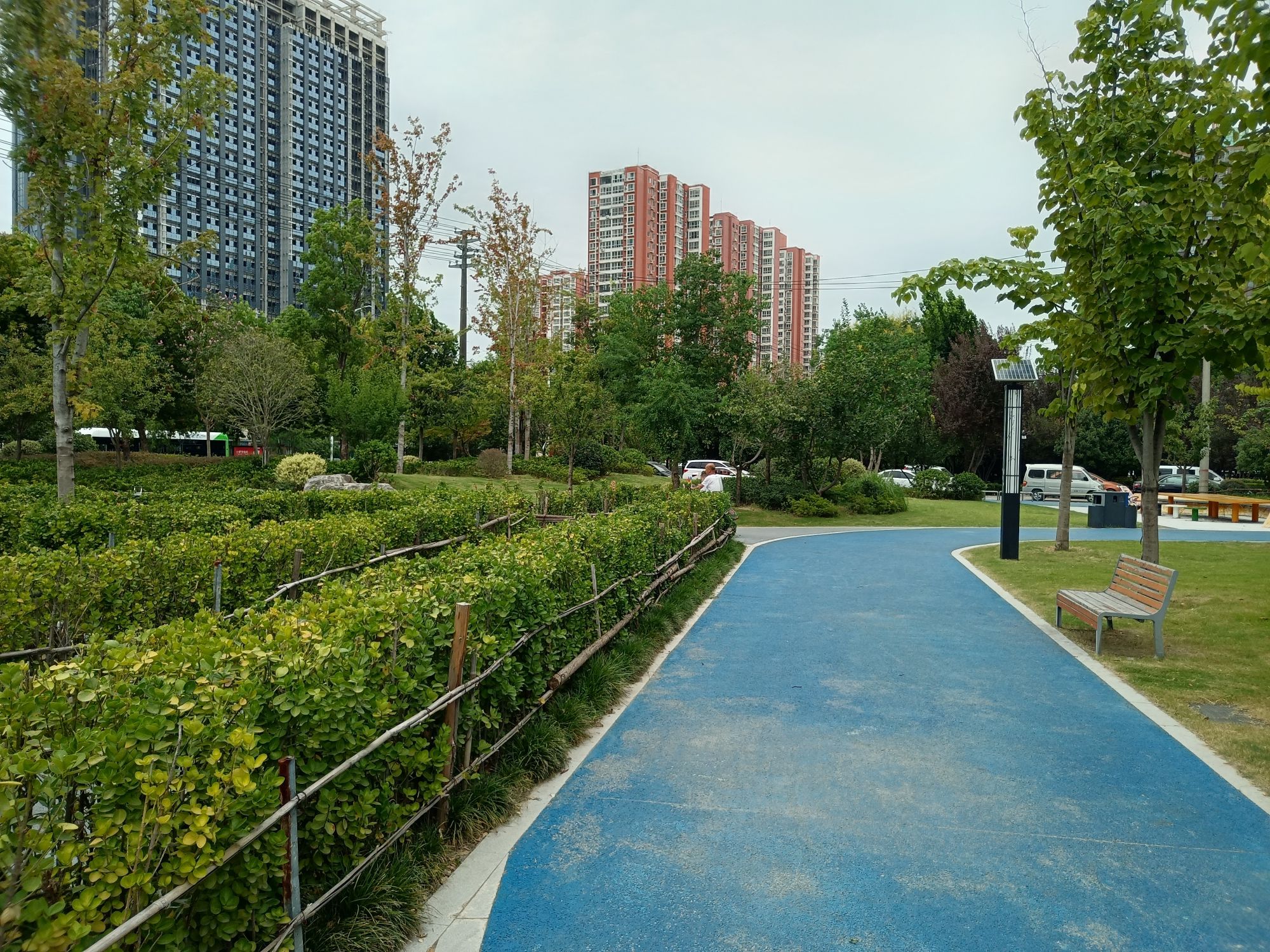 大学南路游园旅行图片 1