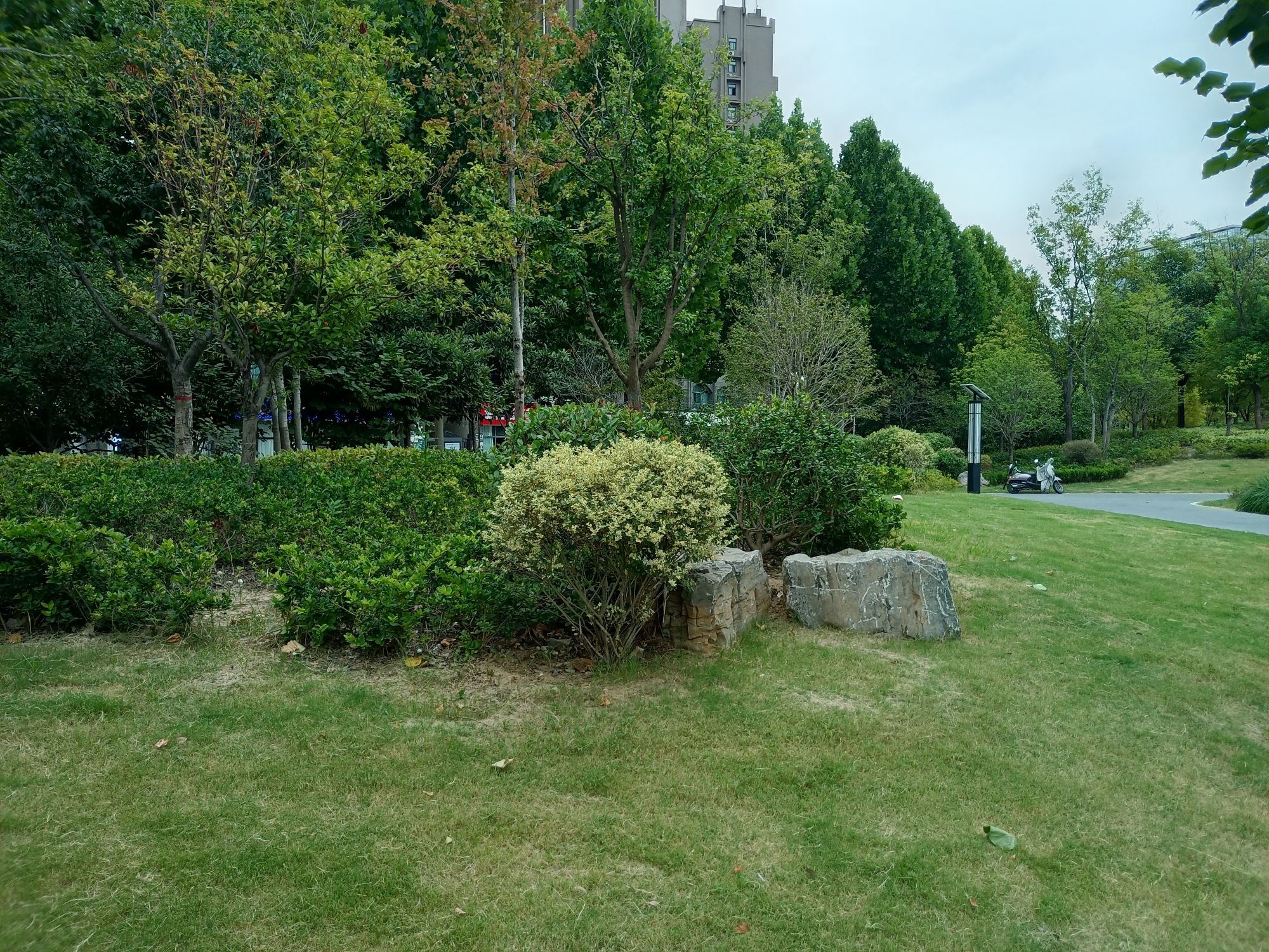大学南路游园旅行图片 3