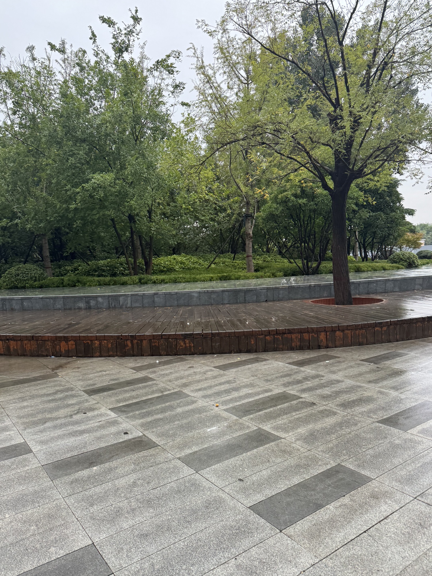 洼刘园旅行图片 2
