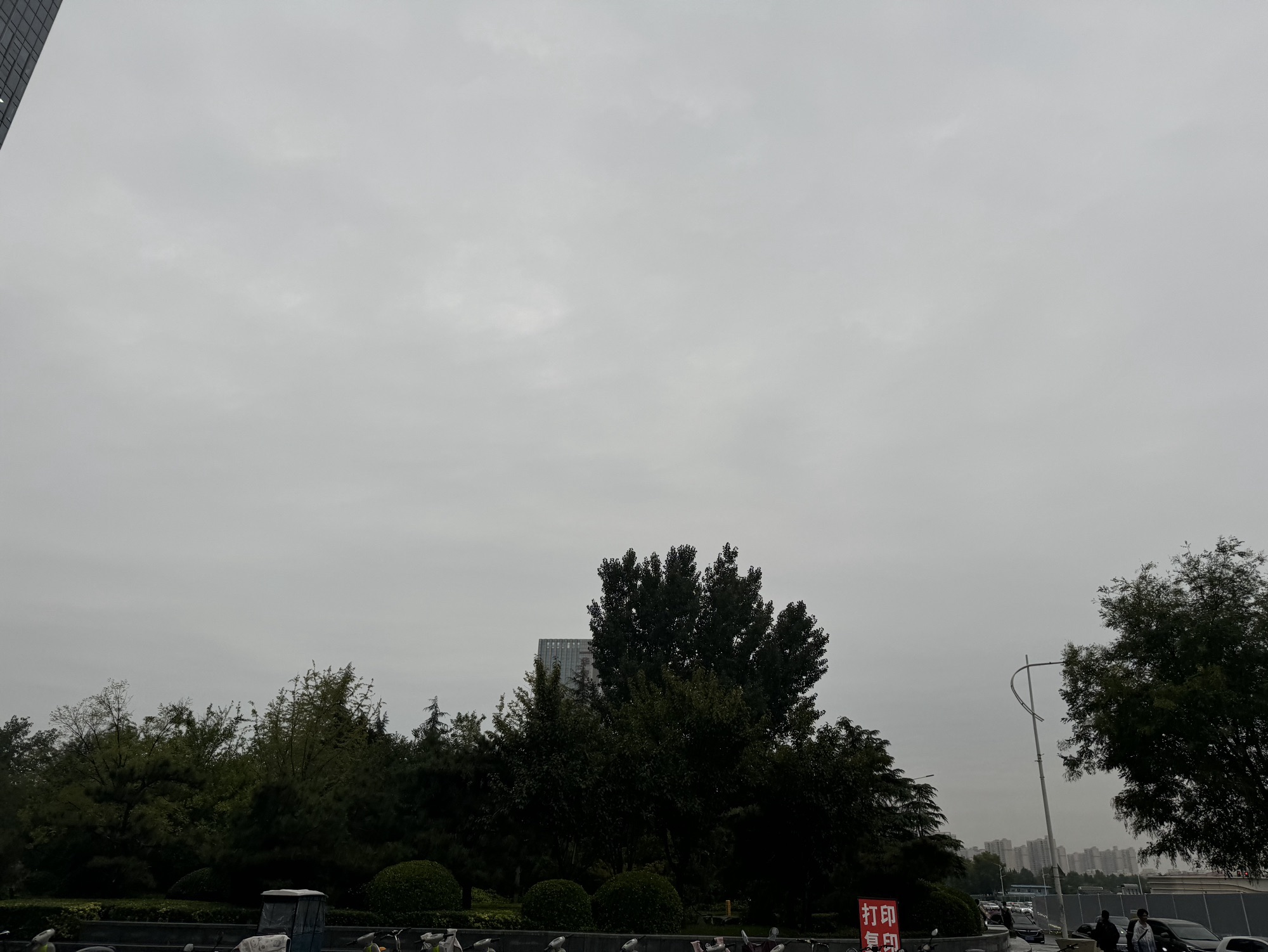 洼刘园旅行图片 1