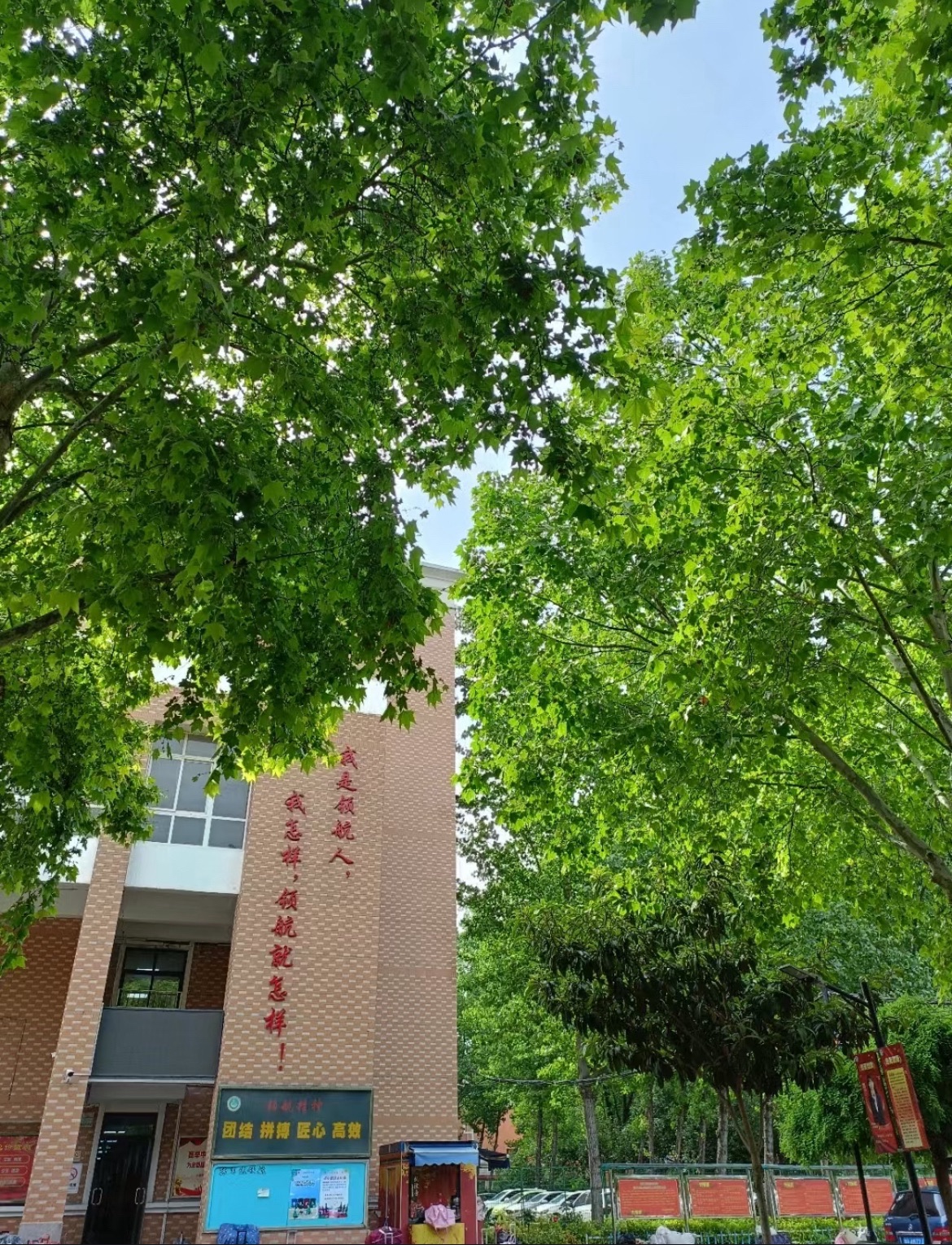 郑州一中教育集团郑州领航实验学校