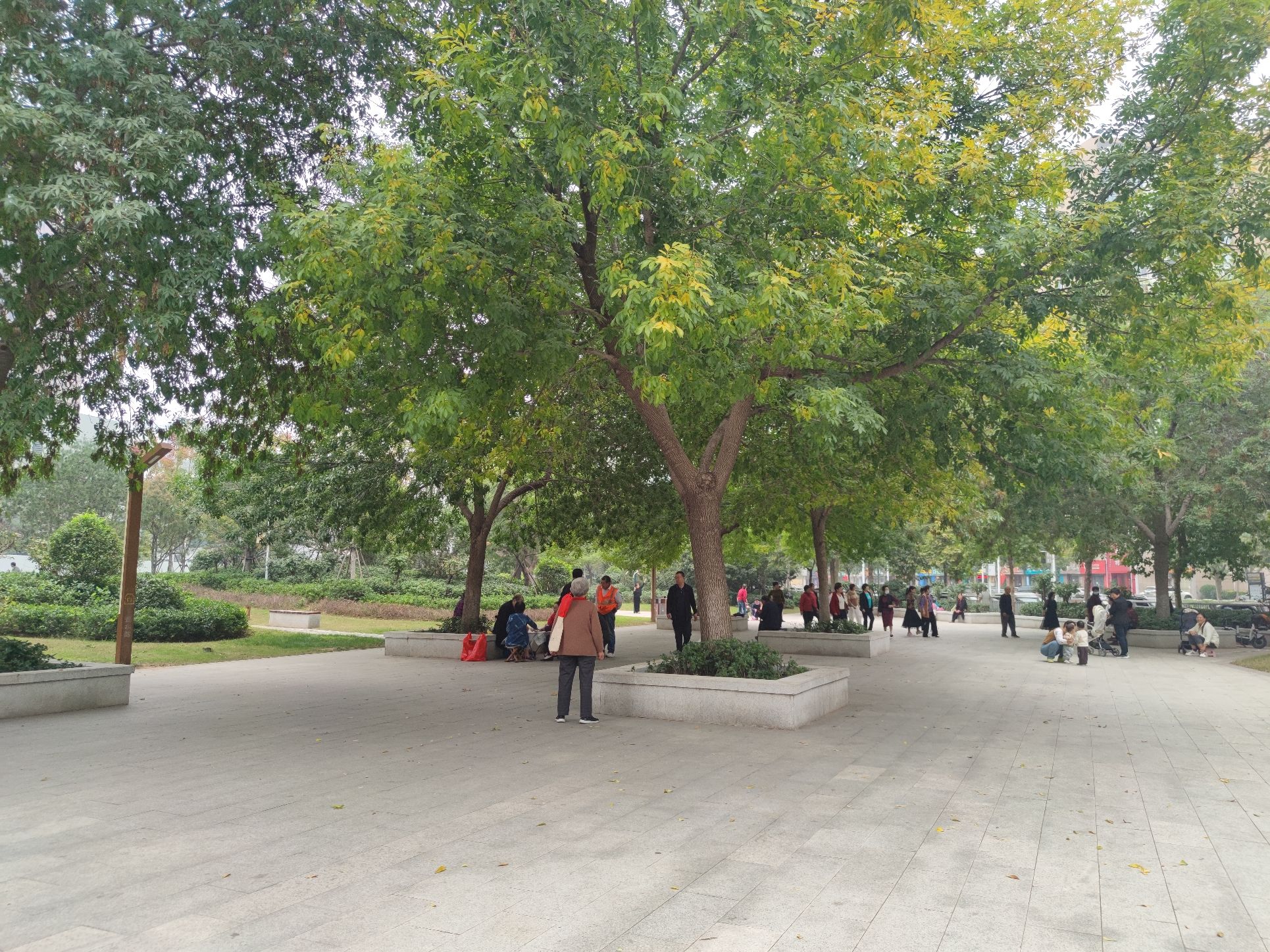 悠园旅行图片