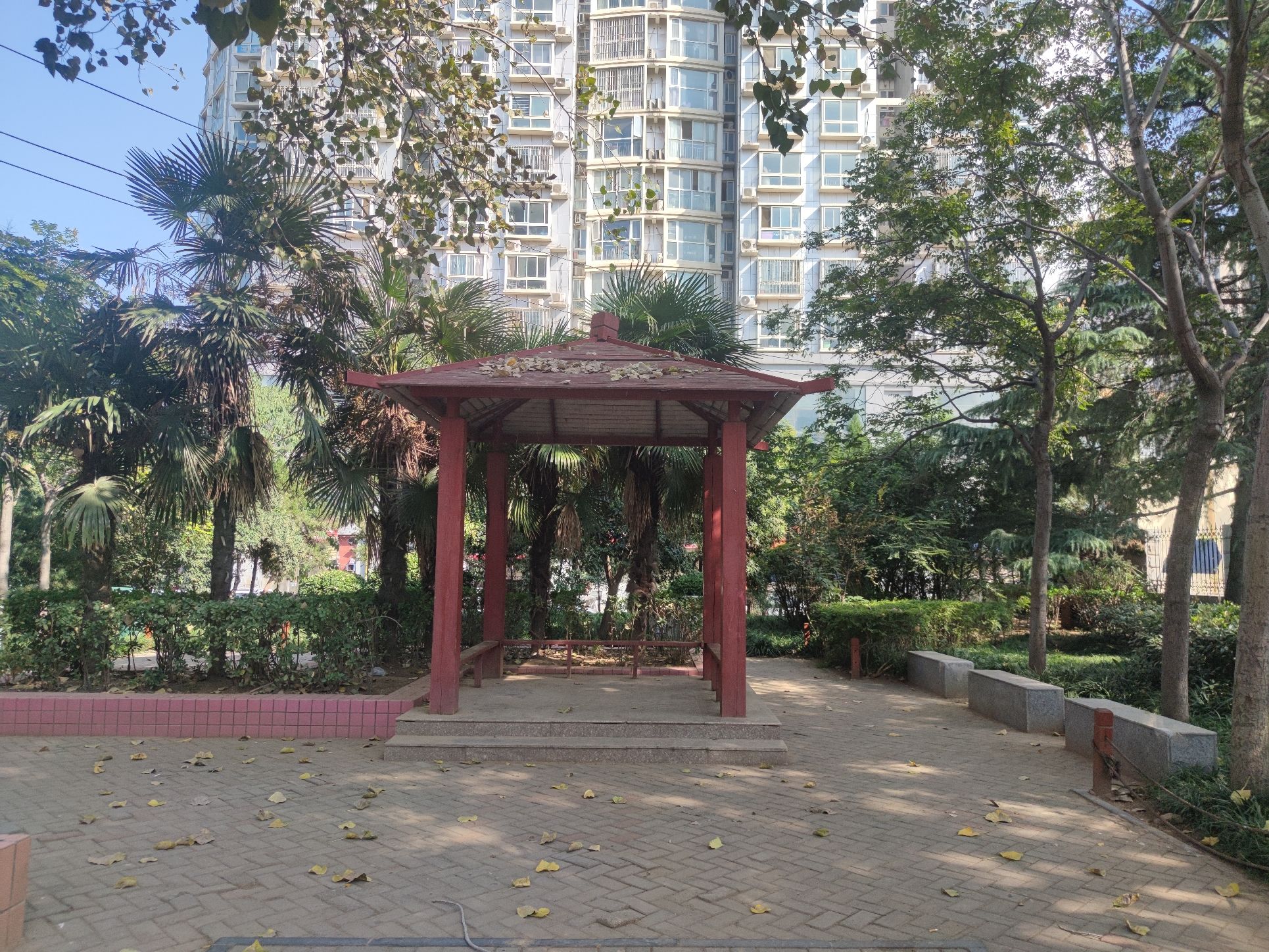 八一游园旅行图片 1