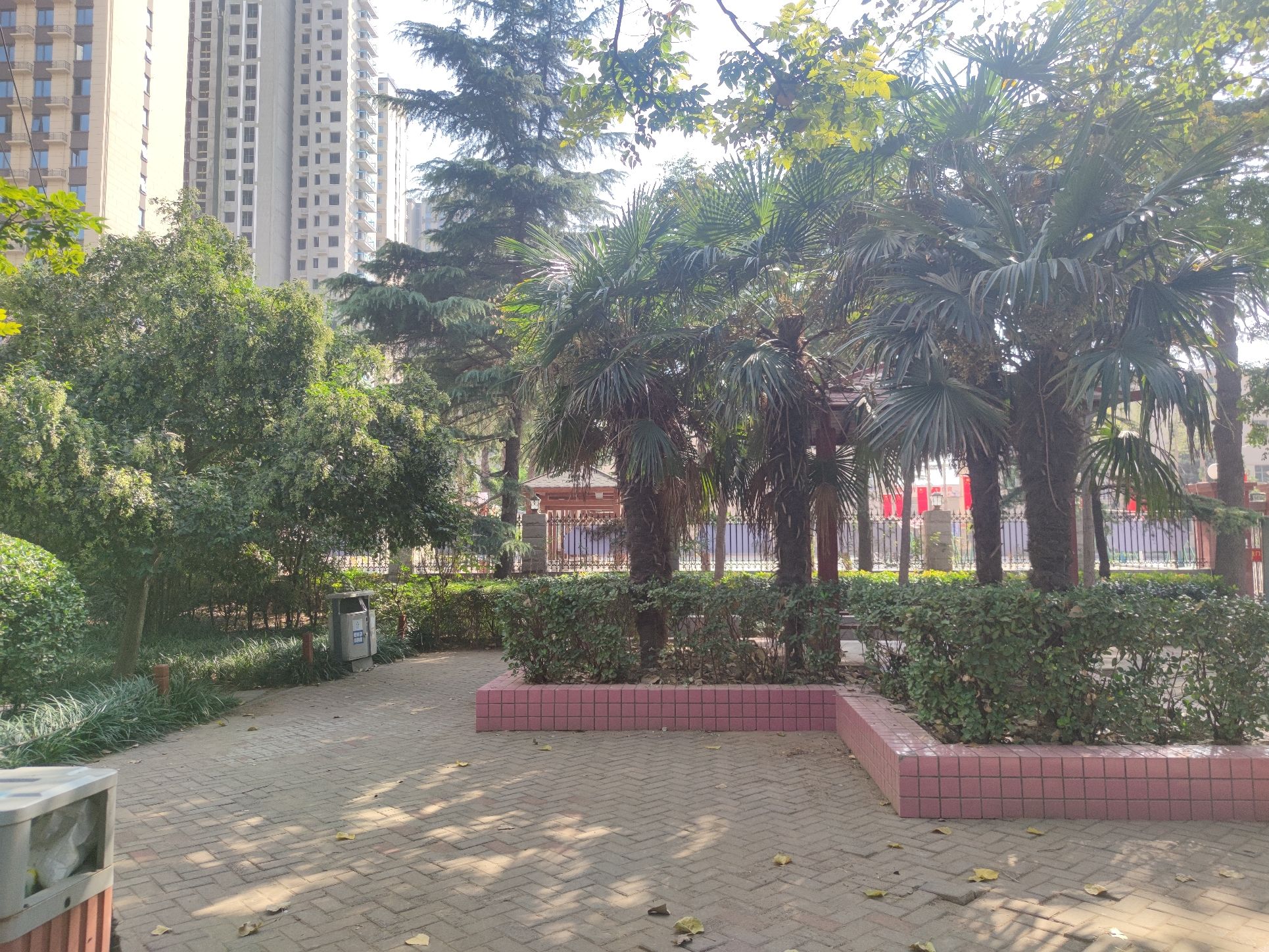 八一游园旅行图片 3