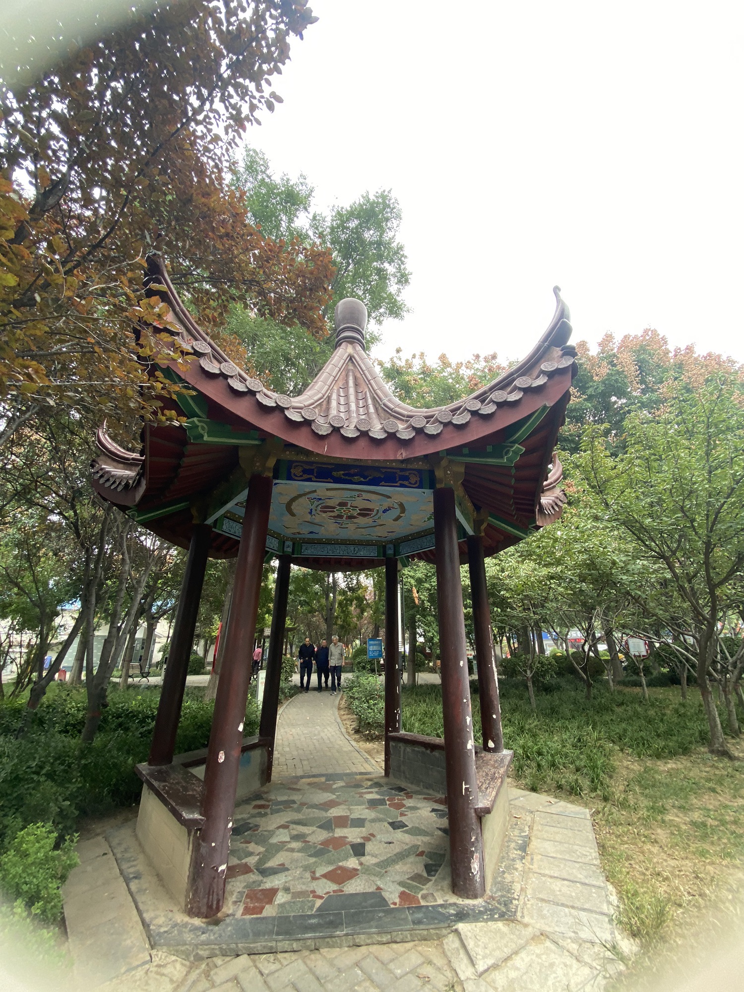 桐本园旅行图片 3