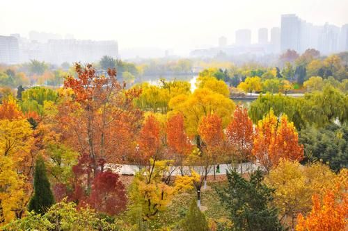 七彩公园旅行图片 3