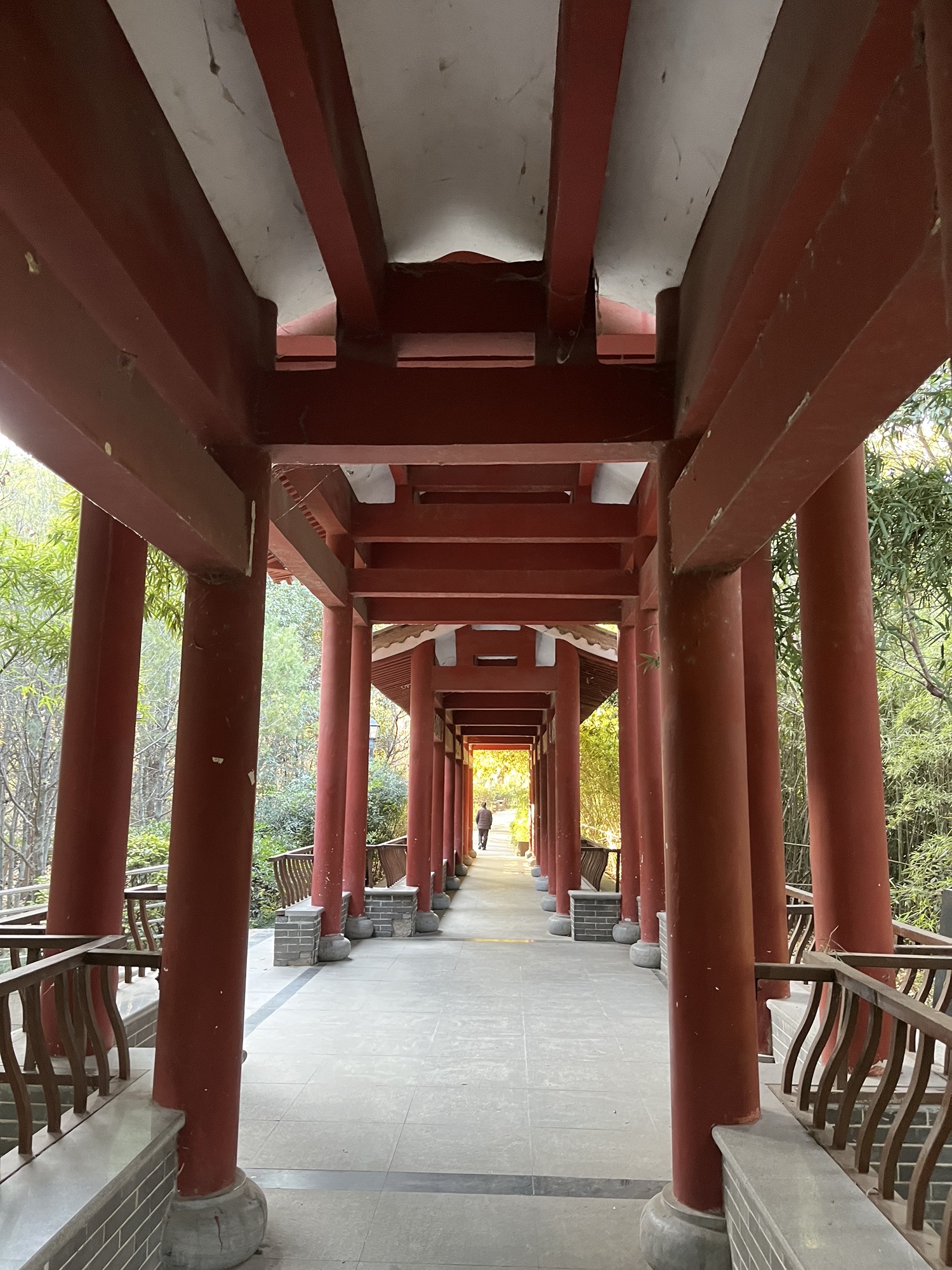郑新公园旅行图片 2