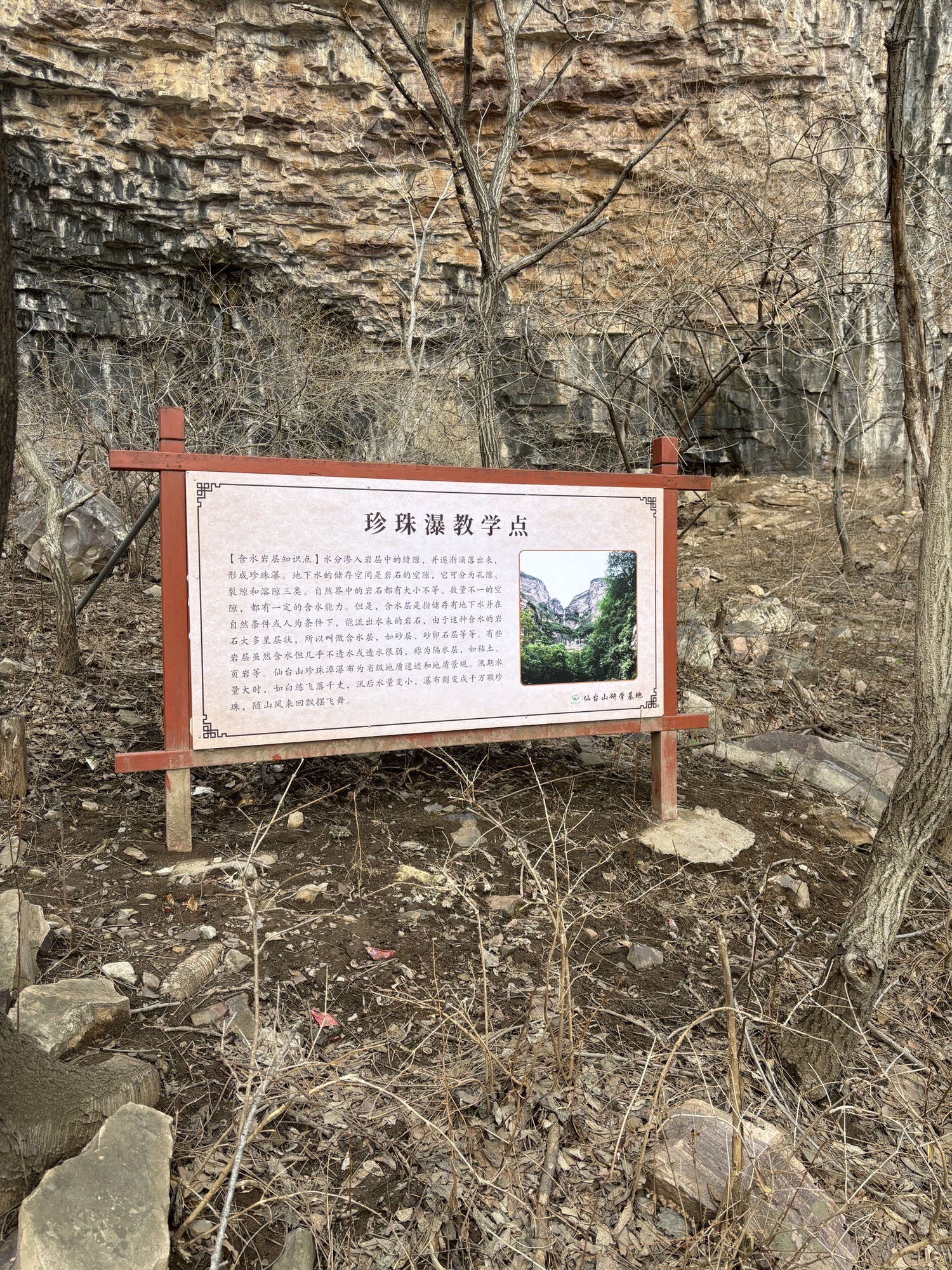 仙台山旅行图片 2