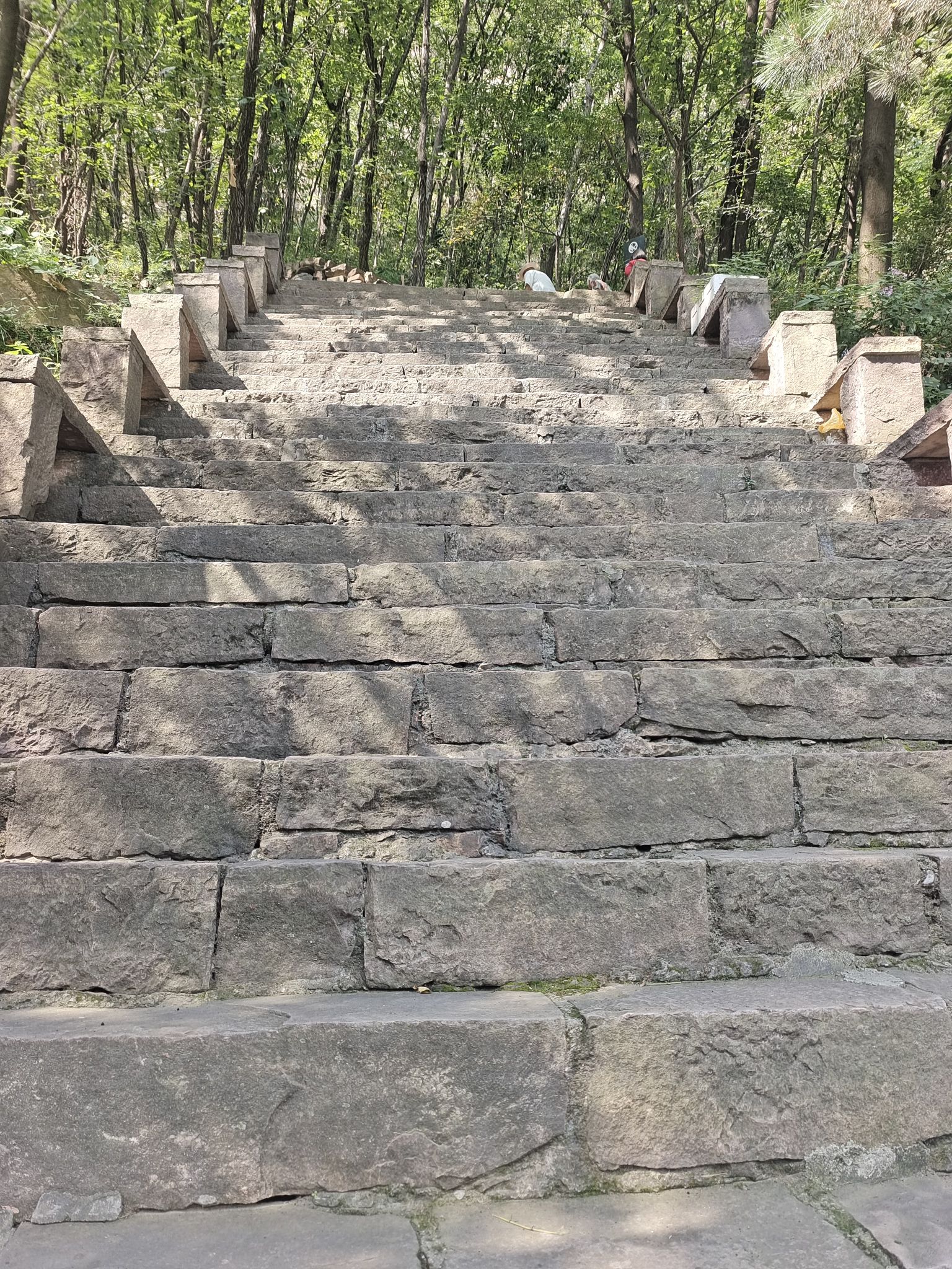 仙台山旅行图片 3