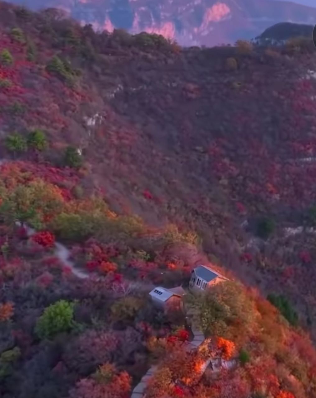 仙台山旅行图片 3
