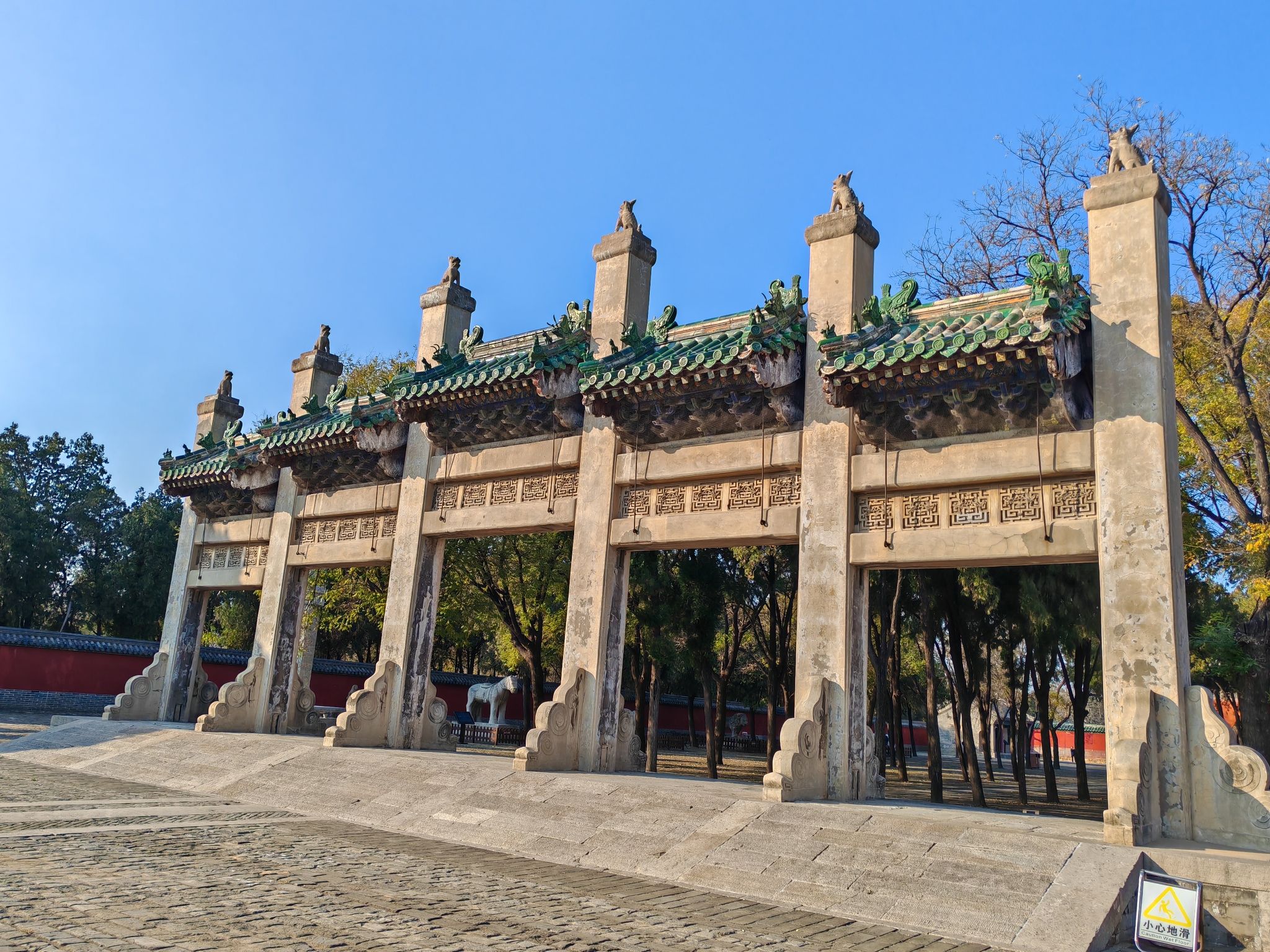 袁林旅行图片 2