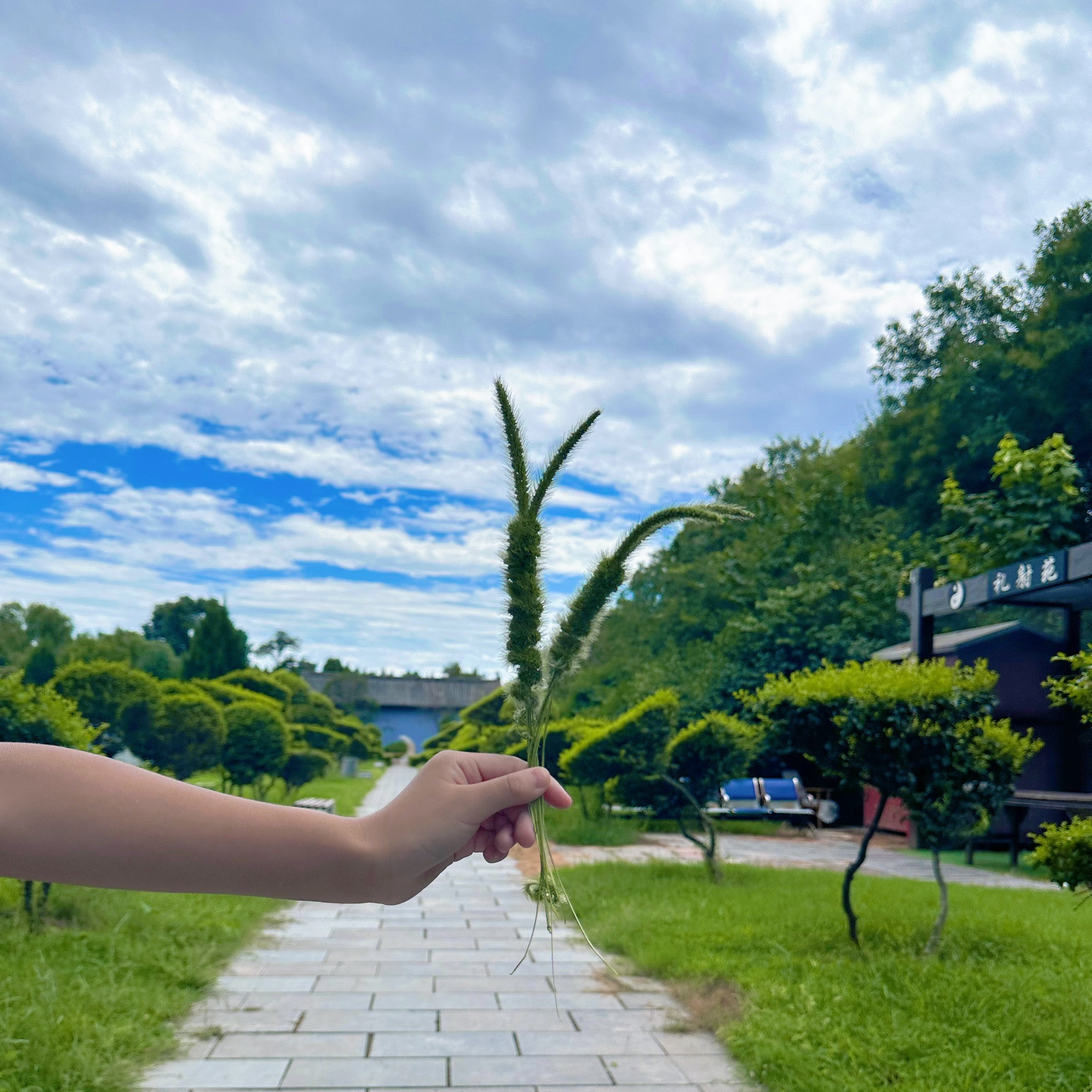 羑里城遗址旅行图片 1