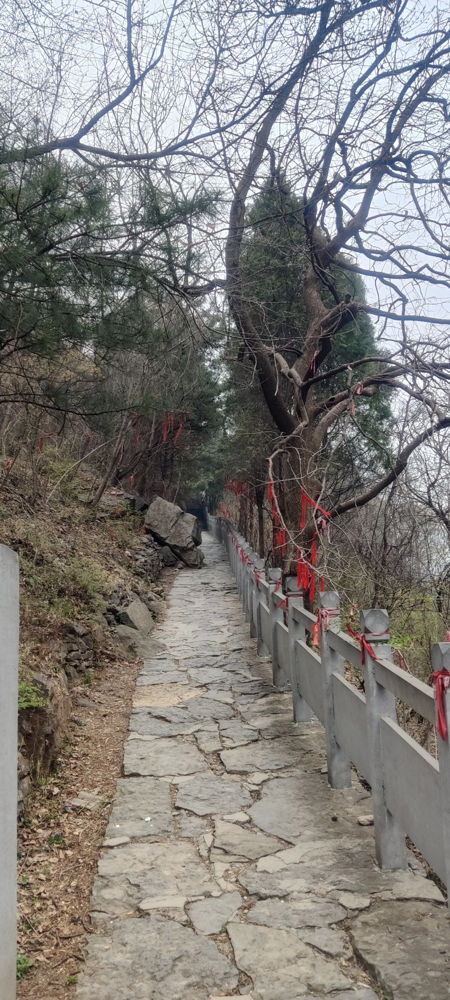 五龙洞国家森林公园旅行图片 3