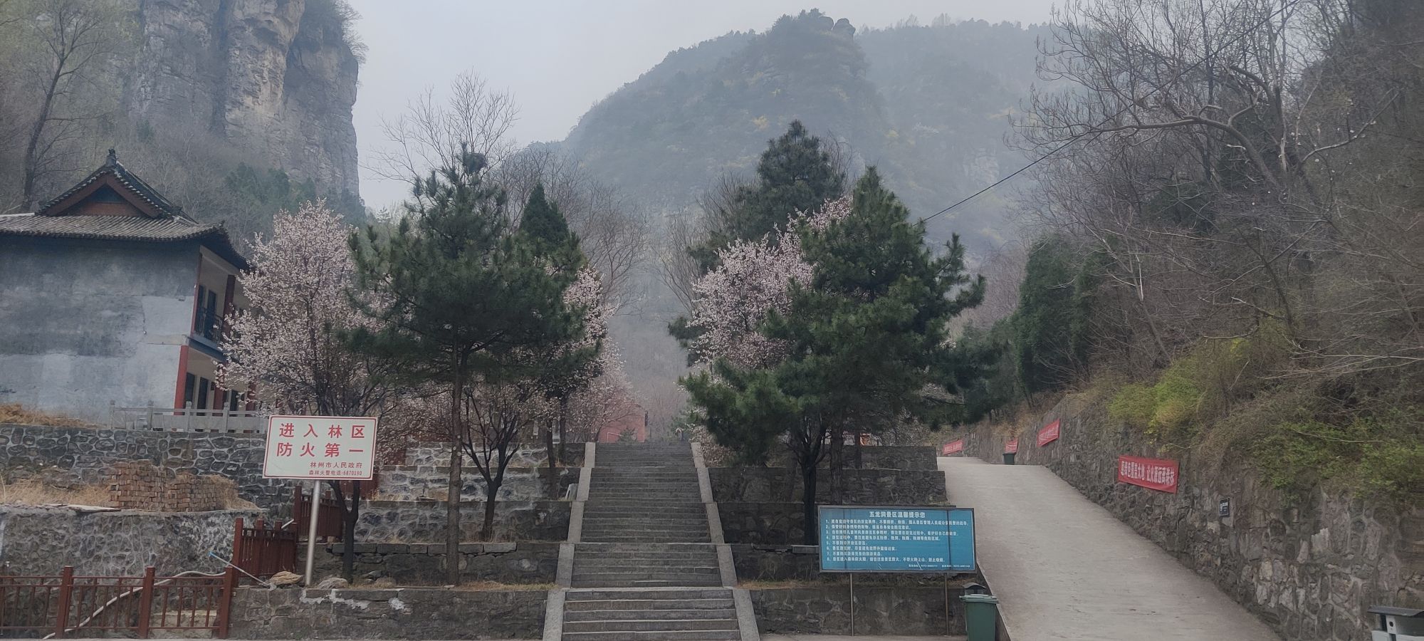 五龙洞国家森林公园旅行图片 2