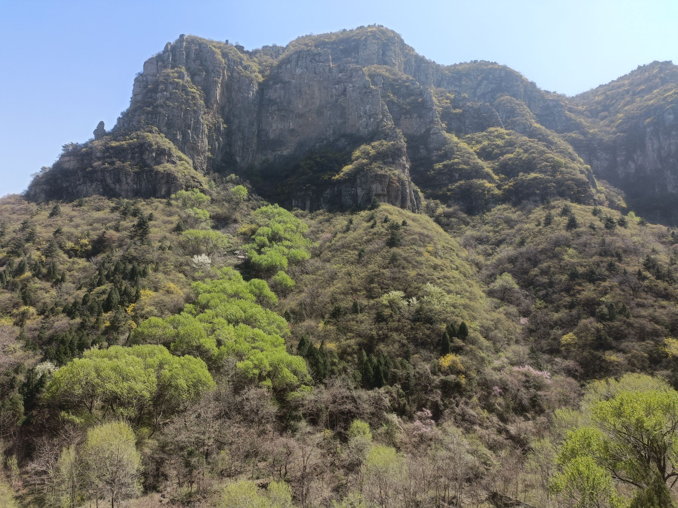 五龙洞国家森林公园旅行图片 1
