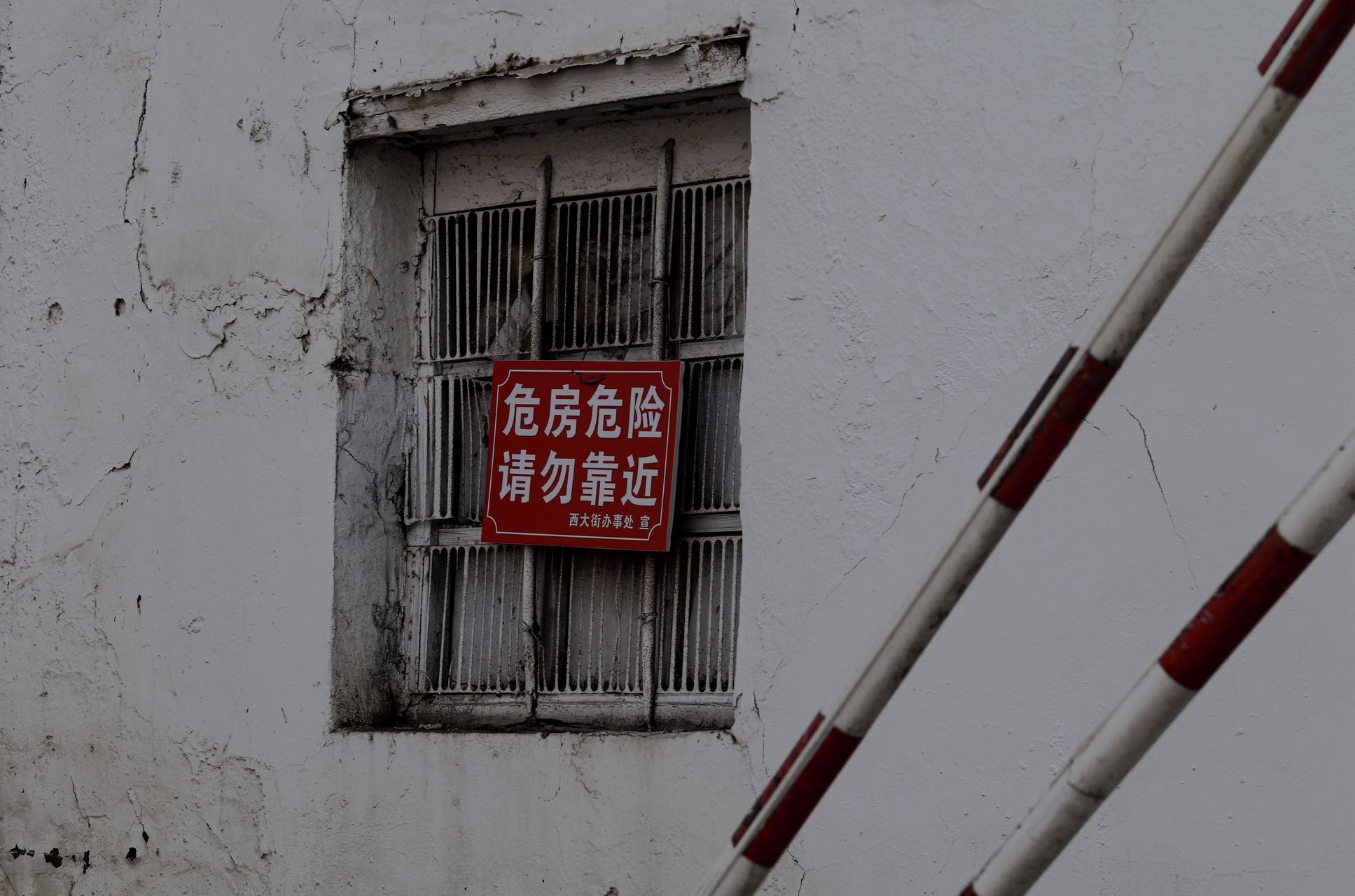 人民公园旅行图片 2