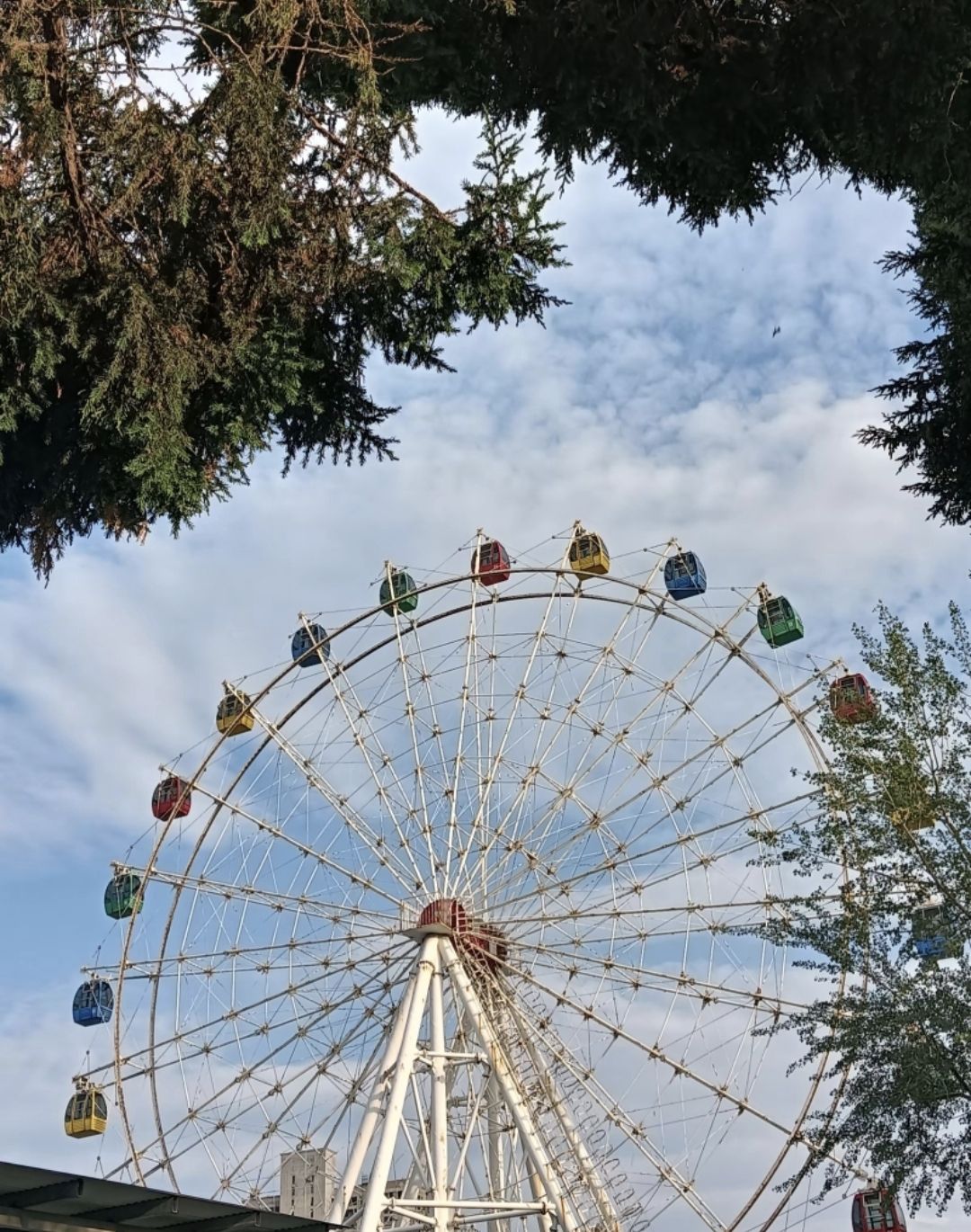 人民公园旅行图片 3