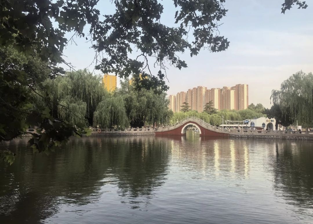 人民公园旅行图片 1
