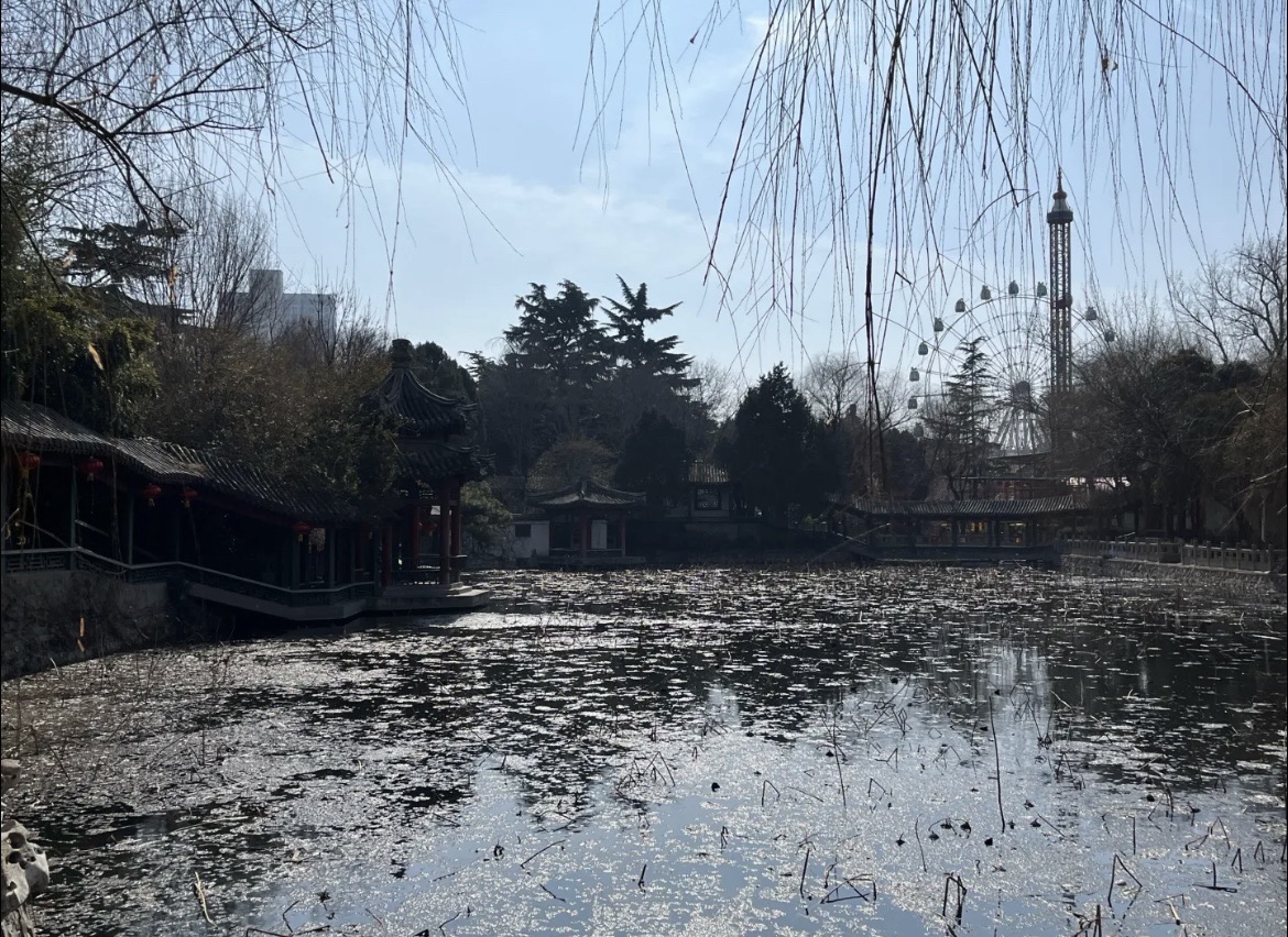 人民公园旅行图片 2
