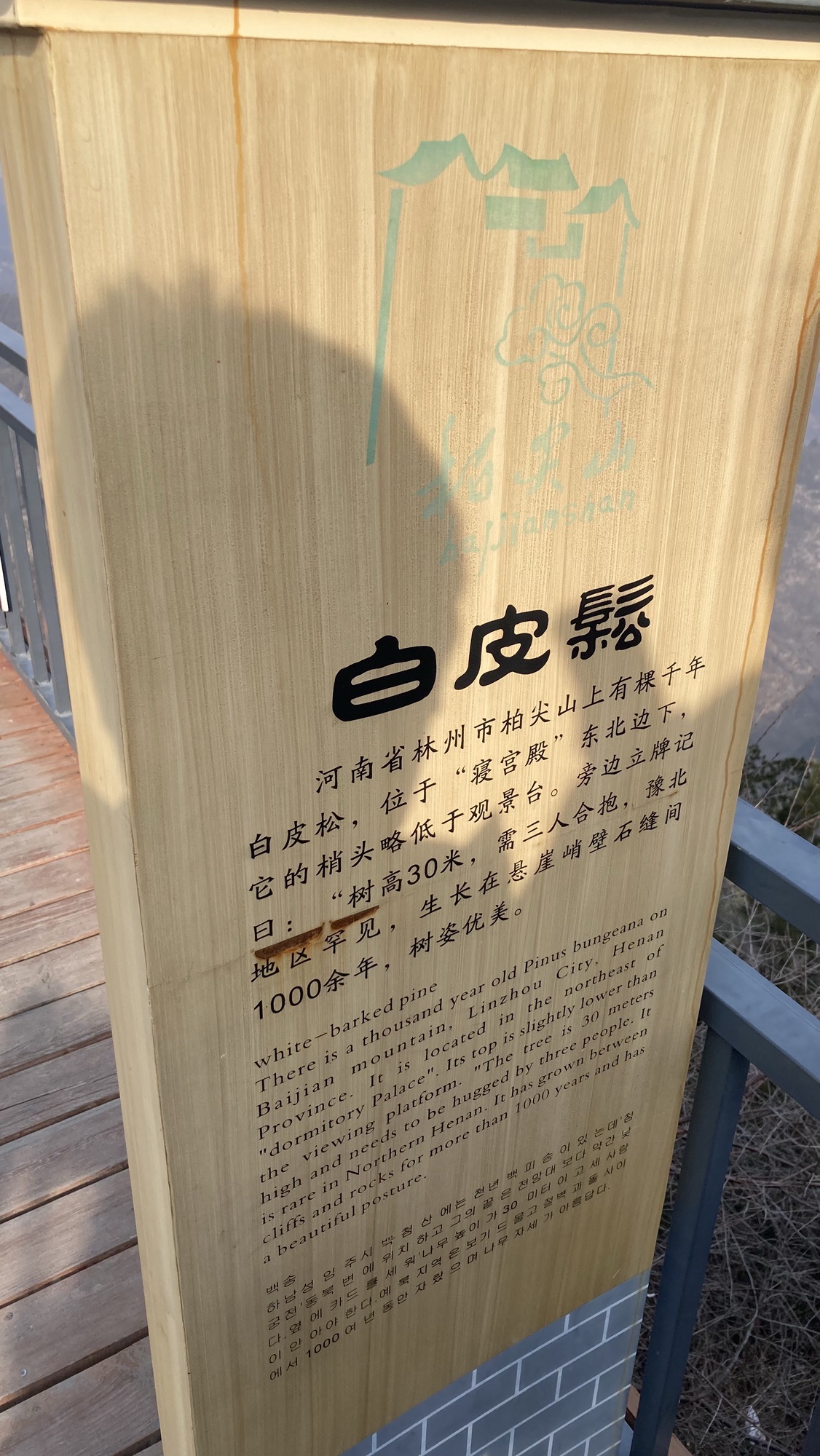 柏尖山景区旅行图片 2