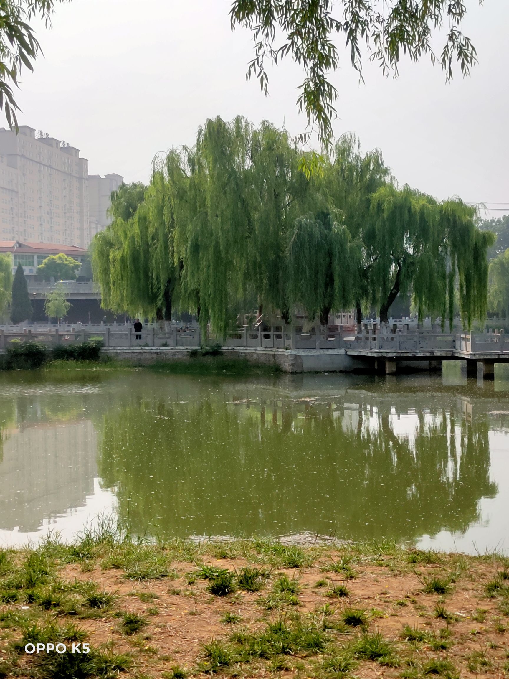毓秀园旅行图片 2