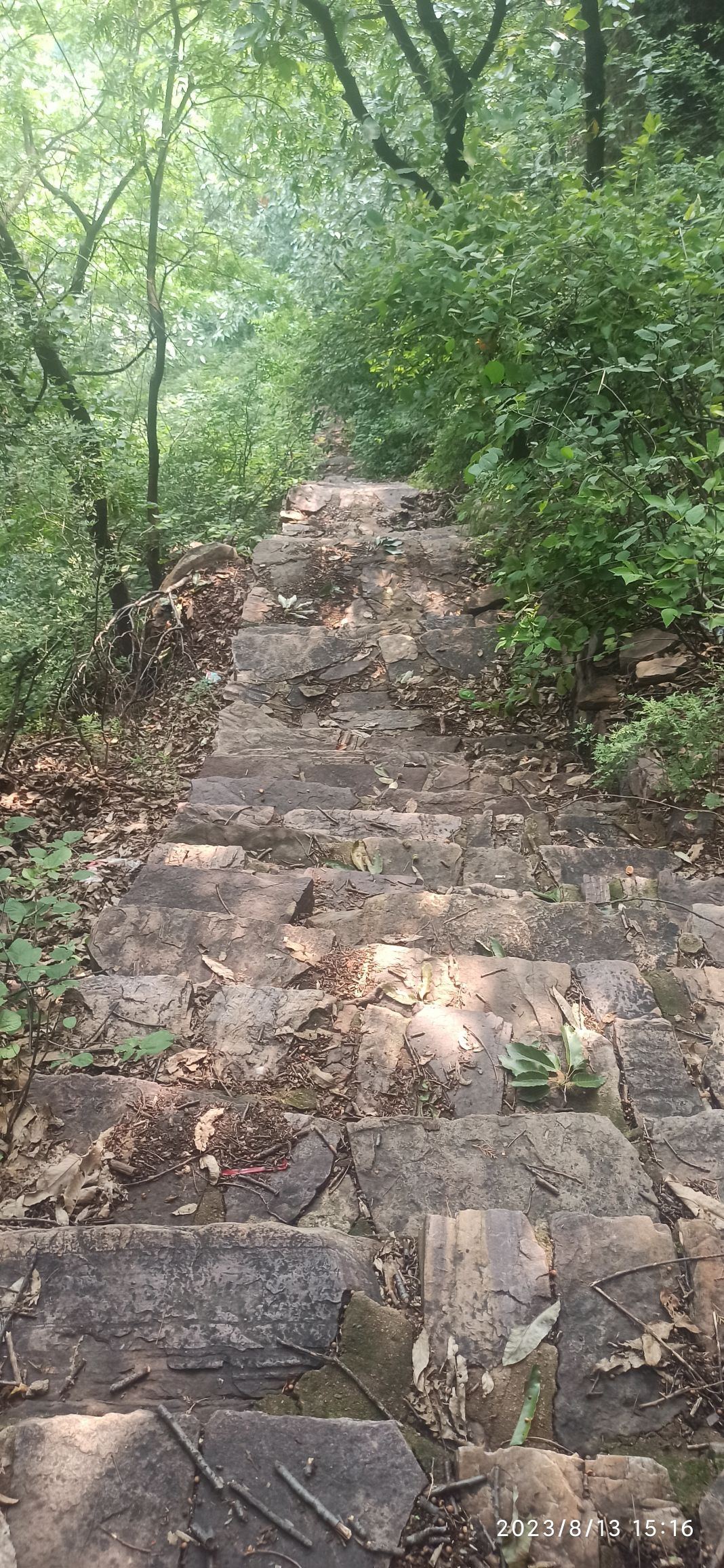 苍龙山风景区旅行图片 2