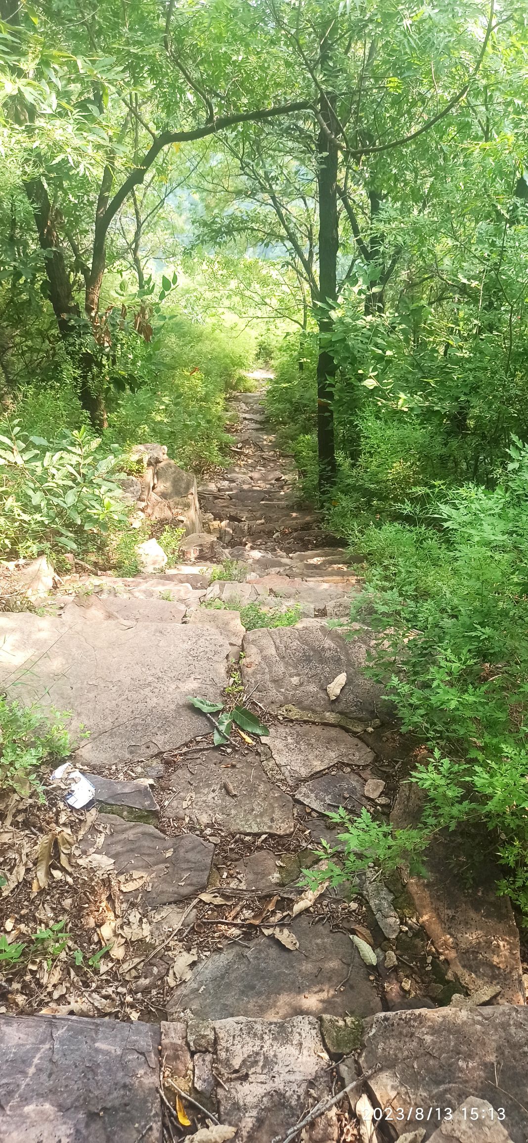 苍龙山风景区旅行图片 1