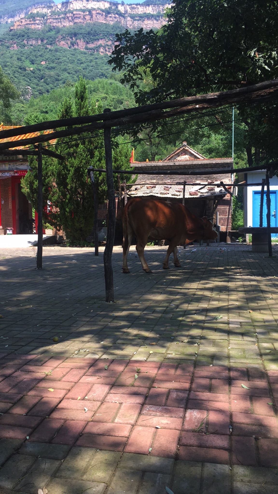 洪谷山风景区旅行图片 1