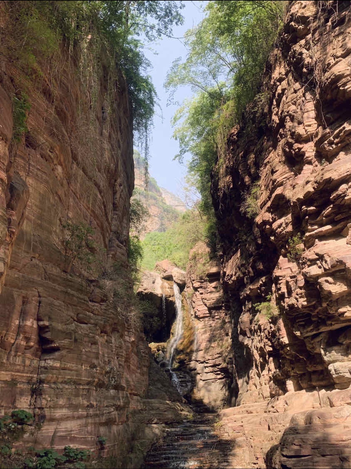 林州天平山森林公园旅行图片 2